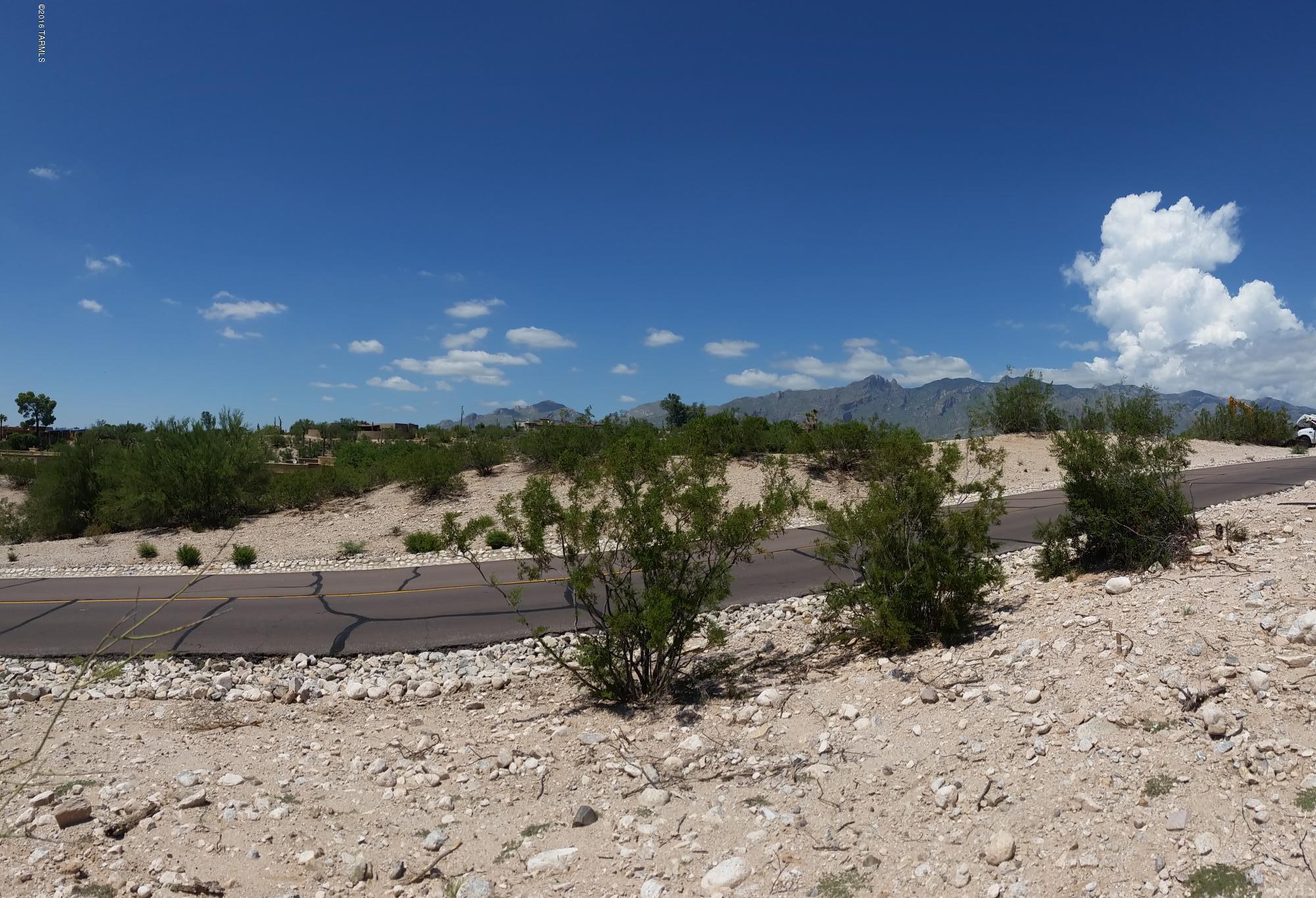 Catalina Foothills Est. NO. 10 (73-90, 119, 121, 123, 127-146) - Land