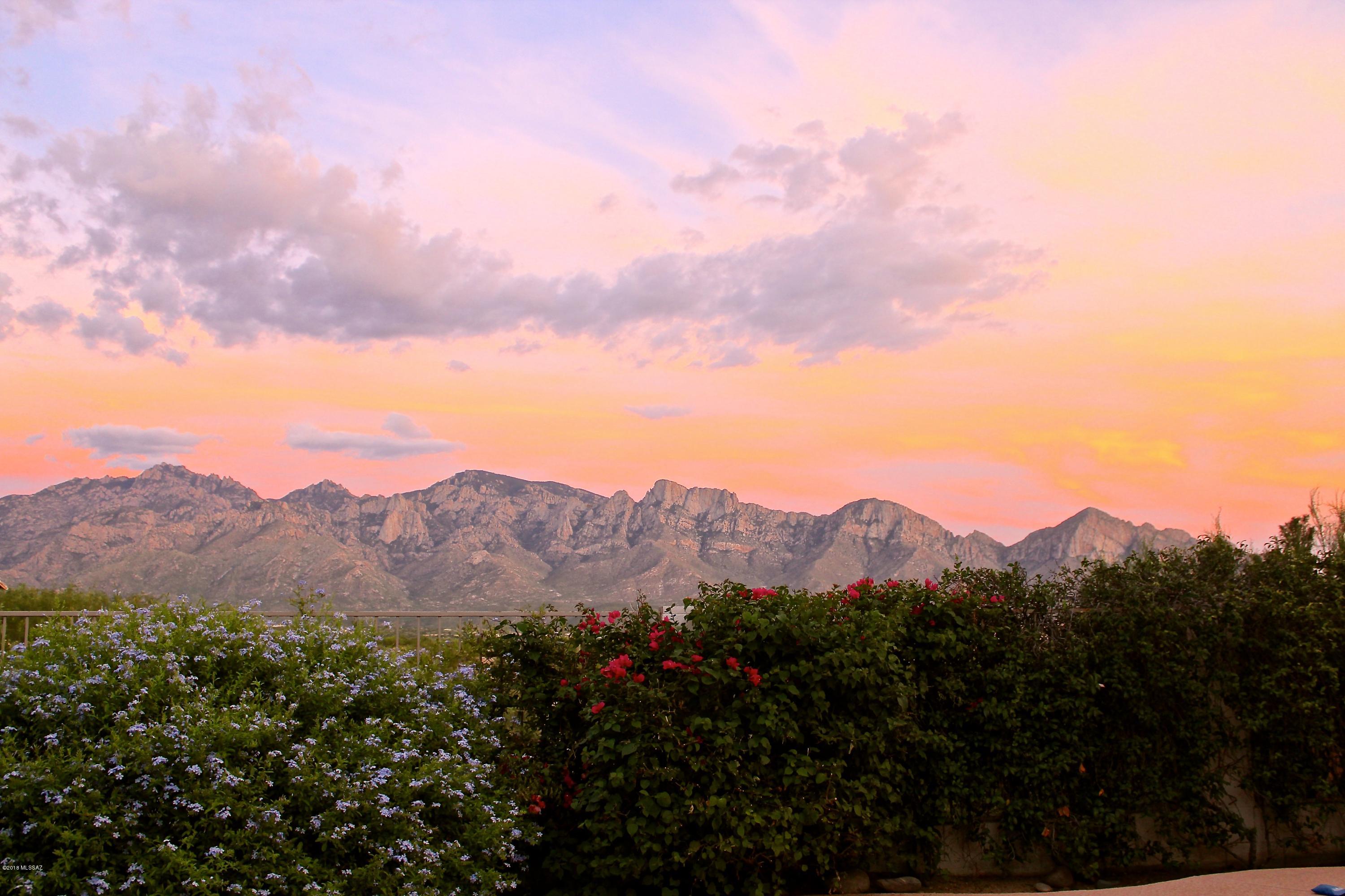 Beautiful 5BD/3BA home nested in an Oro Valeey gated Community. Tremendous unobstructed Catalina and Push Ridge Mountain Views.  Professionally landscaped yard with stunning sunset, back up to natural desert for privacy! Open concept kitchen with SS appliances, and plenty of storage. Brand New granite counter top with dark cherry stained cabinet . Family RM opens to kitchen and features a fireplace and patio access. One bedroom plus full Bathroom on main floor.  Spacious Master Bedroom w/large walk in closet plus 3 bedrooms & 2 full baths upstairs. Full balcony off master with views! New Wood laminate floor in Living Rm and Family RM. Brand New carpet throughout out all  bedrooms. Covered patio with pool and view fencing make this the perfect home to relax. No neighbors behind! Move-in Ready Home. A must see!