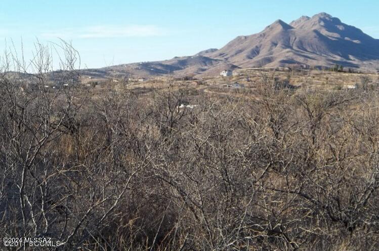 Rio Rico Estates - Land