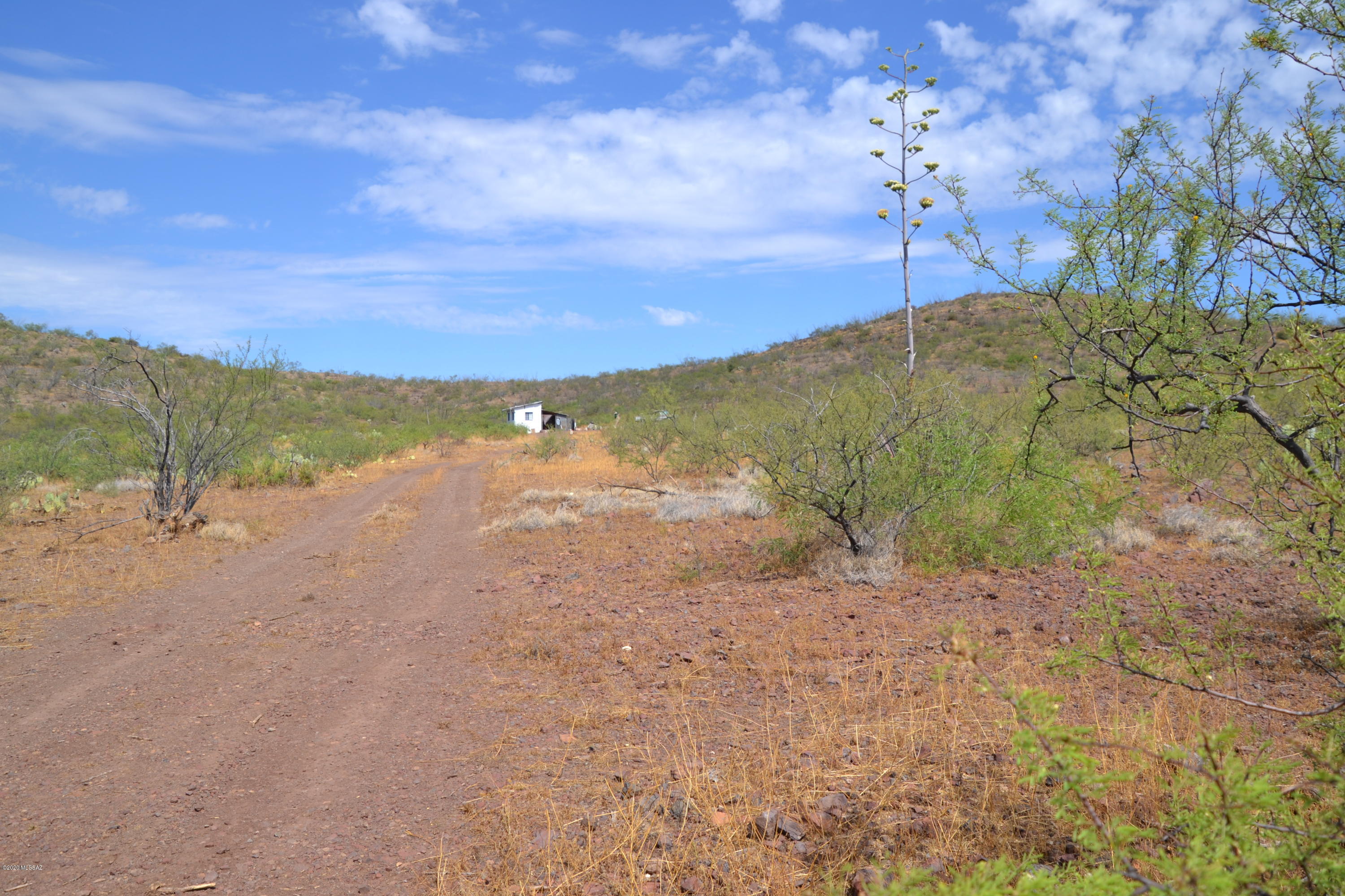Inspiring location with jaw dropping views in every direction! Enjoy the abundant wildlife and desert flora of southeast AZ. There is a small one bedroom structure with storage included in the sale of this land.Would be the perfect social distance get-away for temporary visits or while you get your off-grid retreat built! Structure has R-19 insulation, double pane windows, 3/4'' plywood floors and corrugated tin siding. It comes with a wood burning stove and four 25 watt solar panels with two 12 volt/65 amp hour batteries and 2 rainwater catchment barrels. Must haul water or drill well. Property features a hillside to hike and enjoy even more views! Come see this one yourself, the location and views will not disappoint! Two parcels included to total 23.91 acres, has been surveyed.