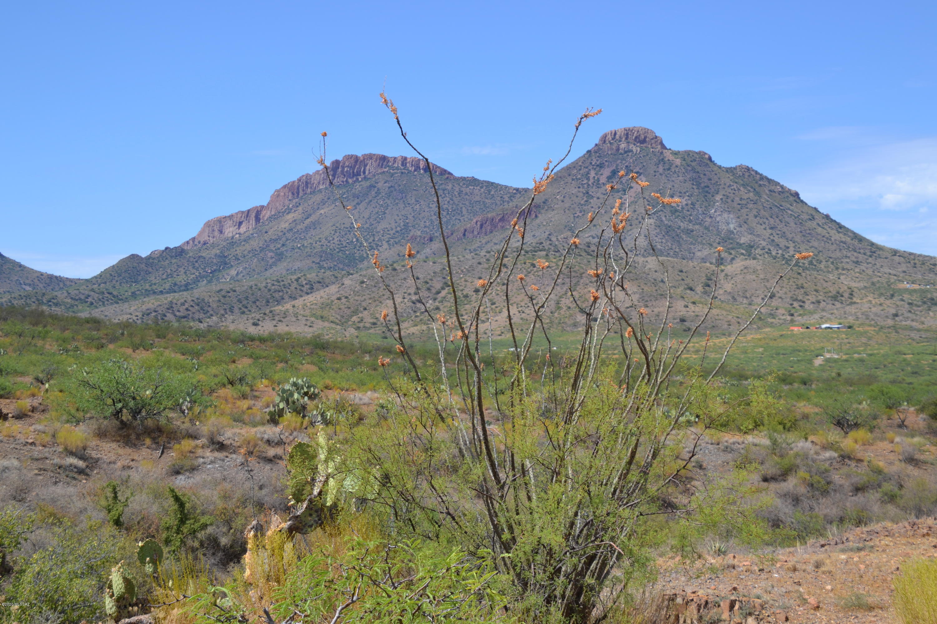 Out Of Pima County - Land