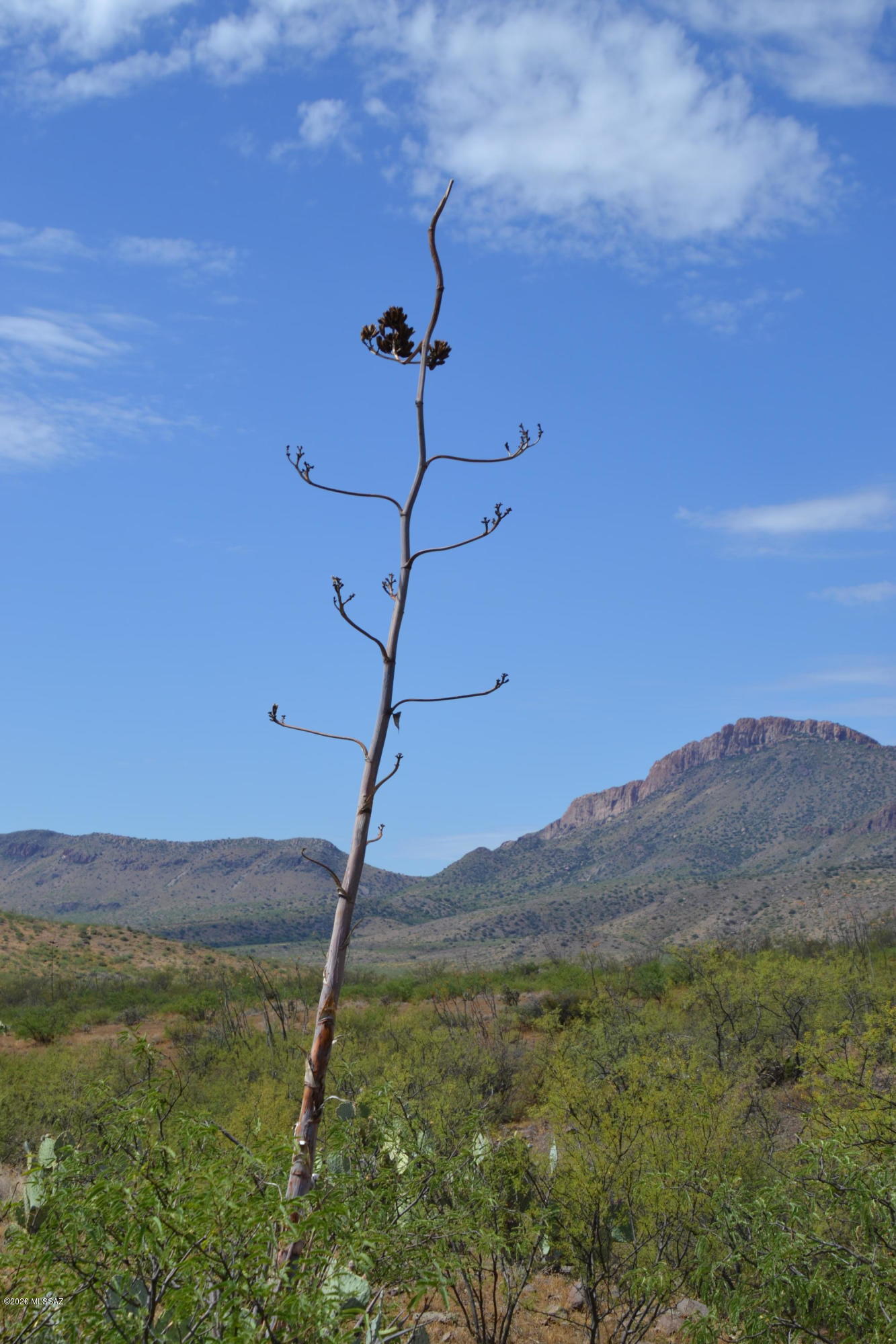 Out Of Pima County - Land