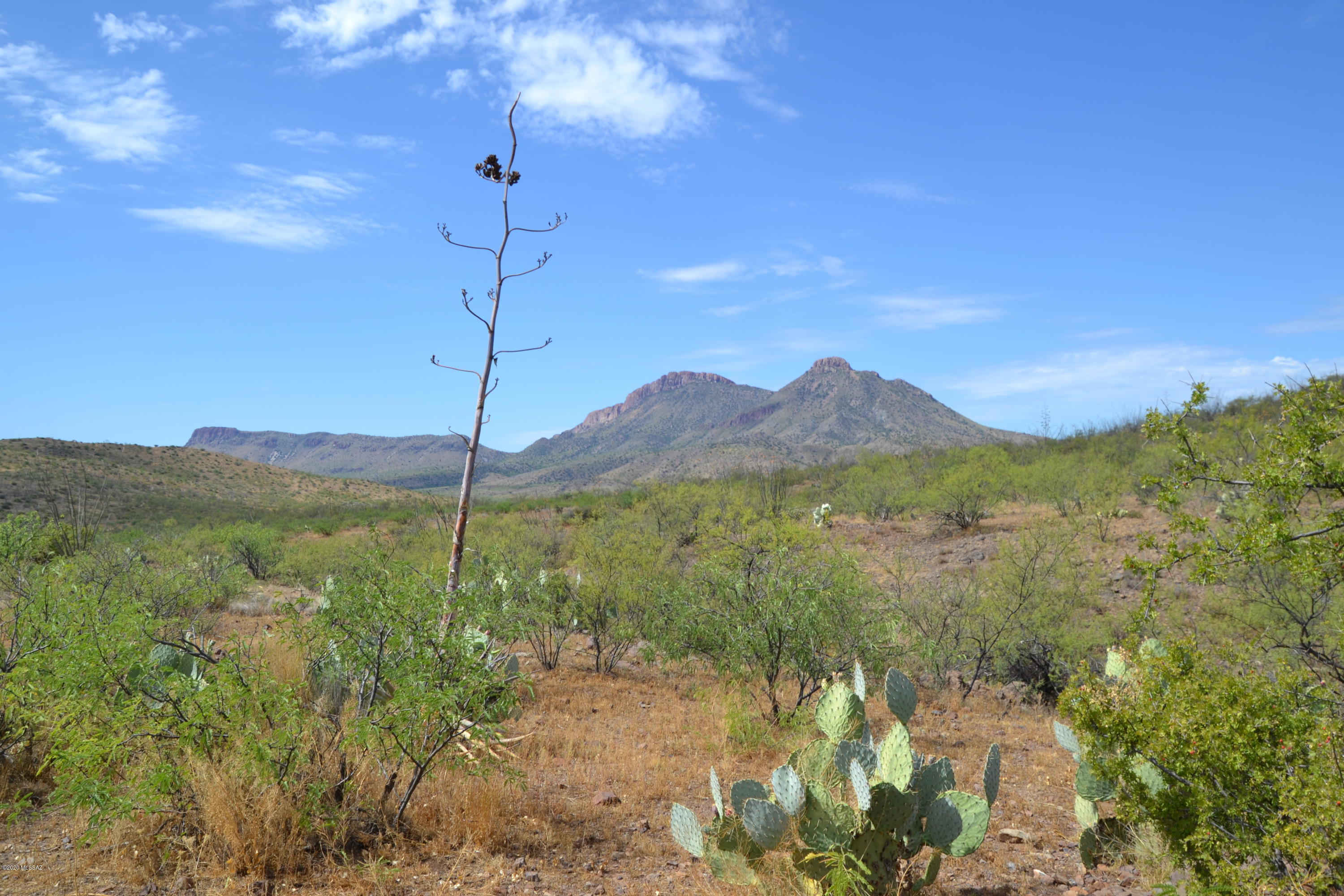 Out Of Pima County - Land
