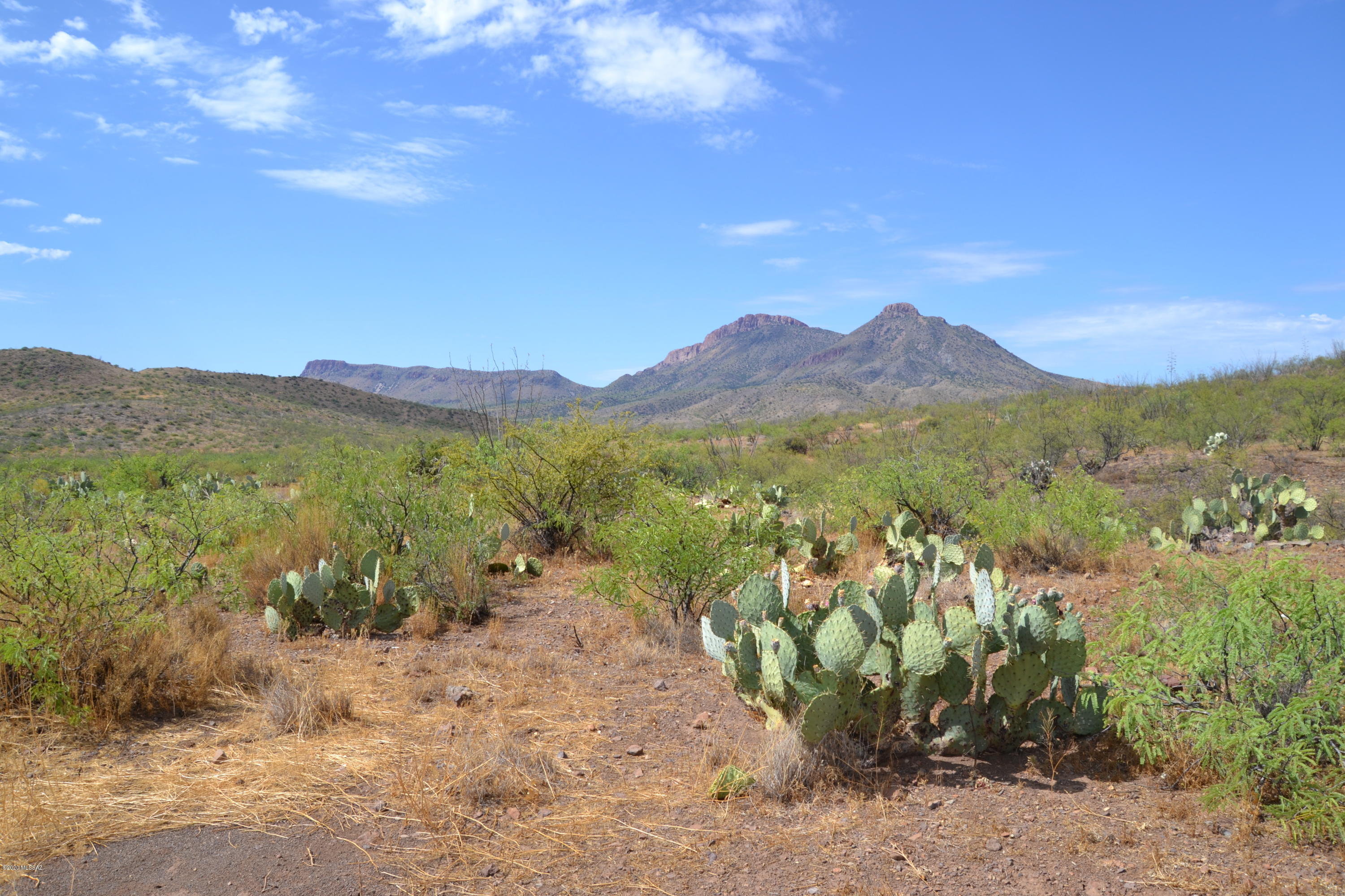 Out Of Pima County - Land
