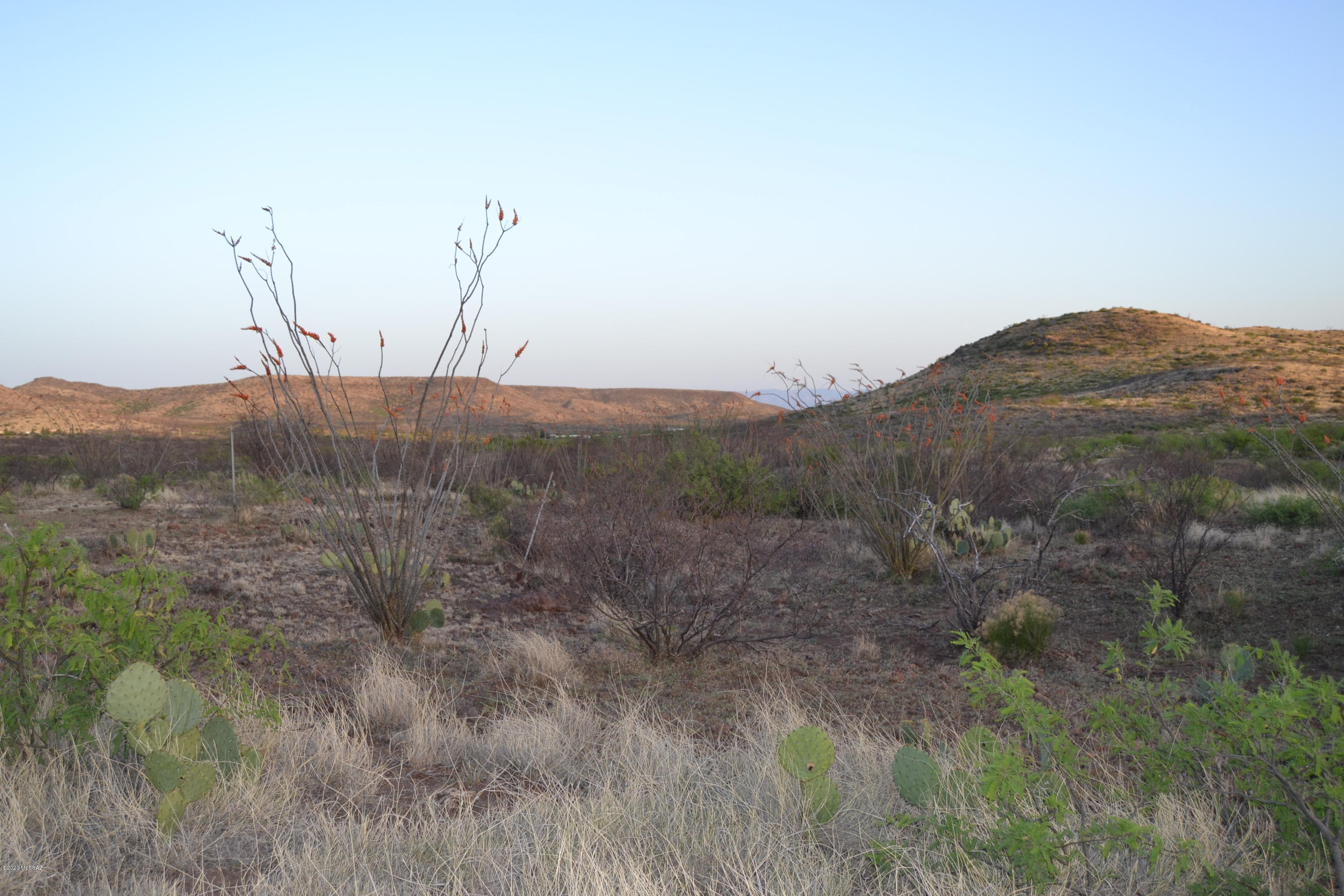 Out Of Pima County - Land