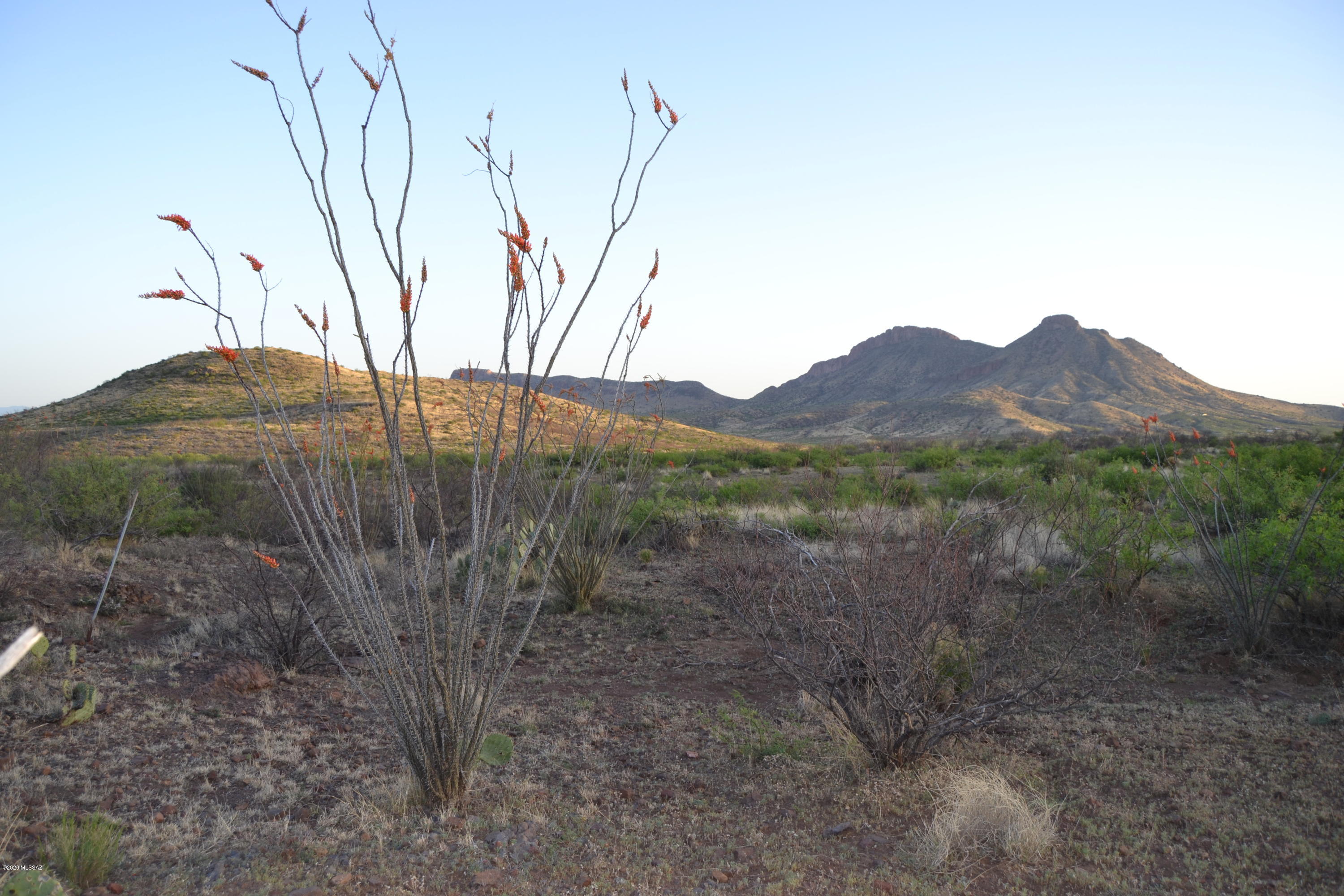 Out Of Pima County - Land
