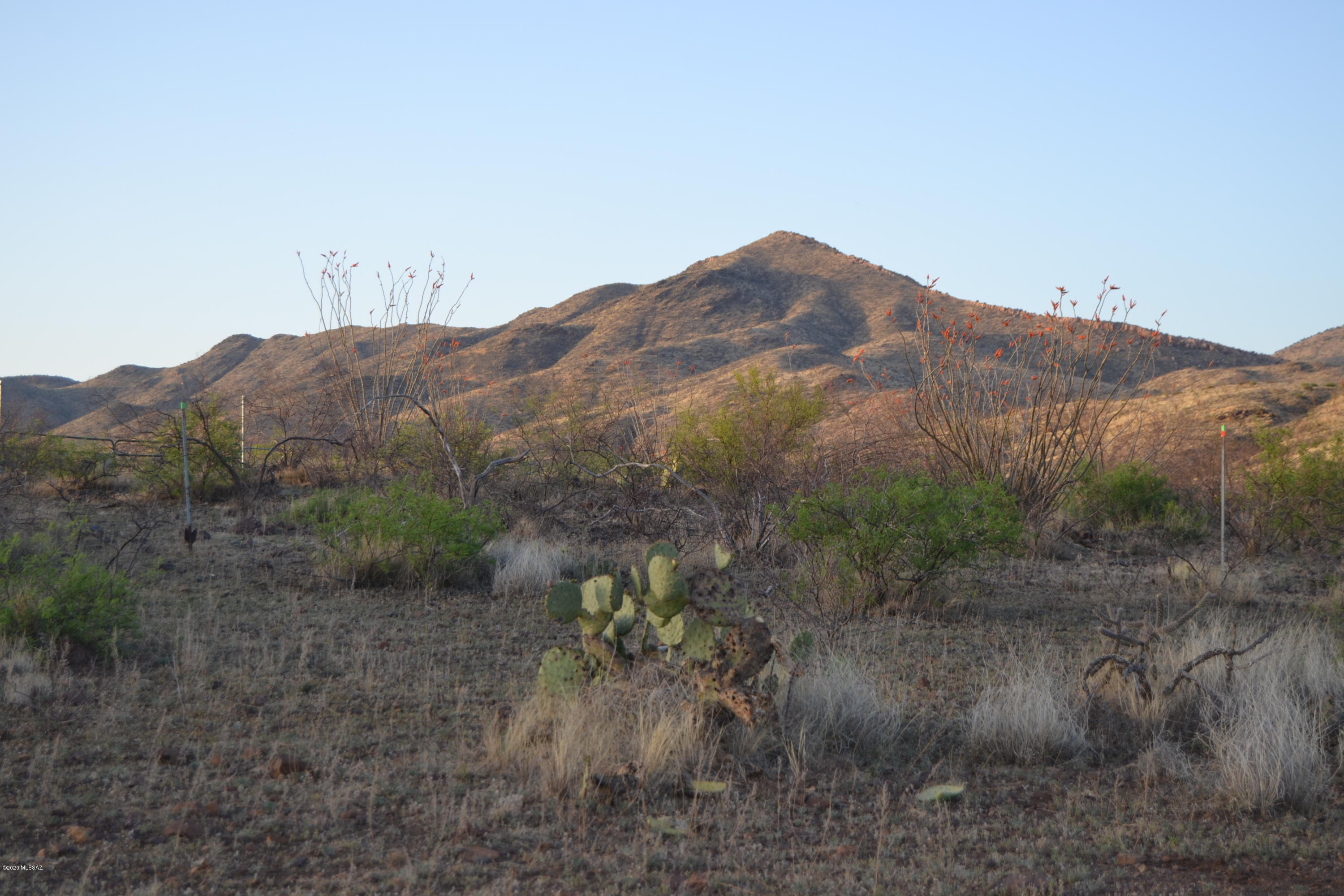 Out Of Pima County - Land