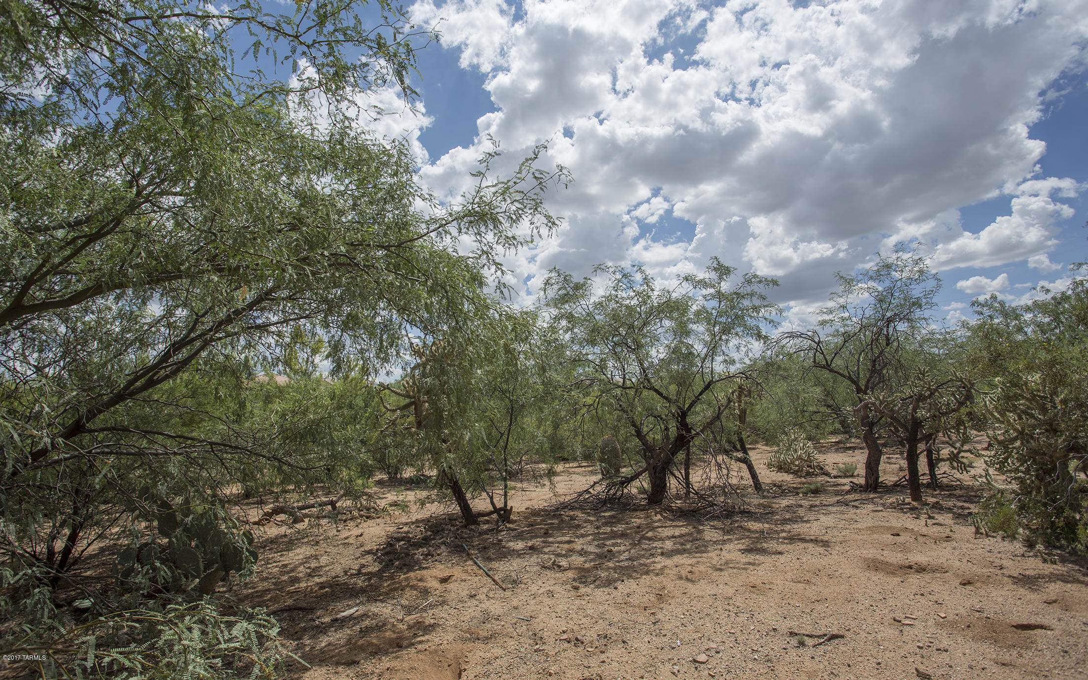 Sonora At Rancho Sahuarita (475-699) - Residential
