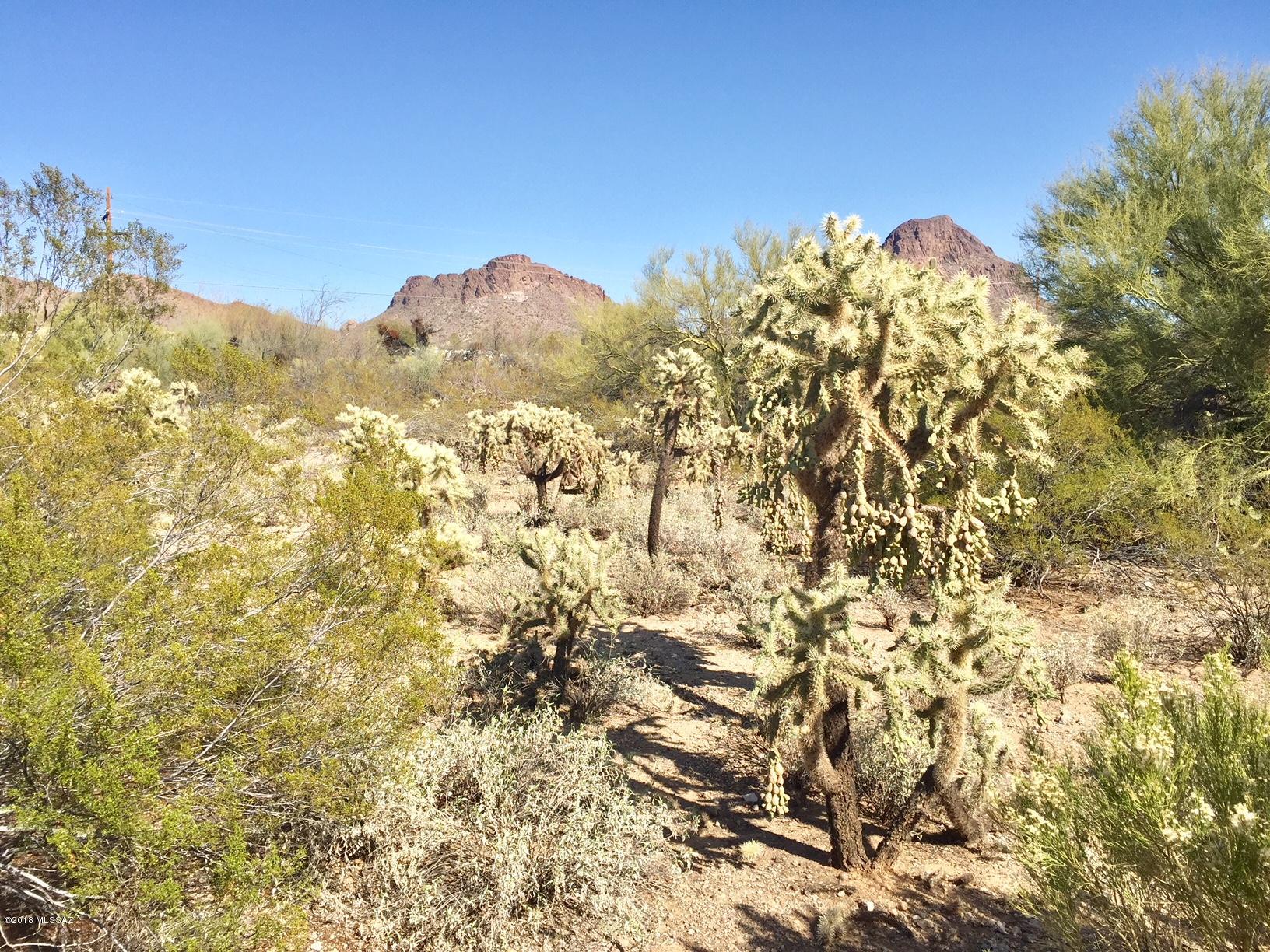 Tucson Mountain Sanctuary (1-154) - Residential