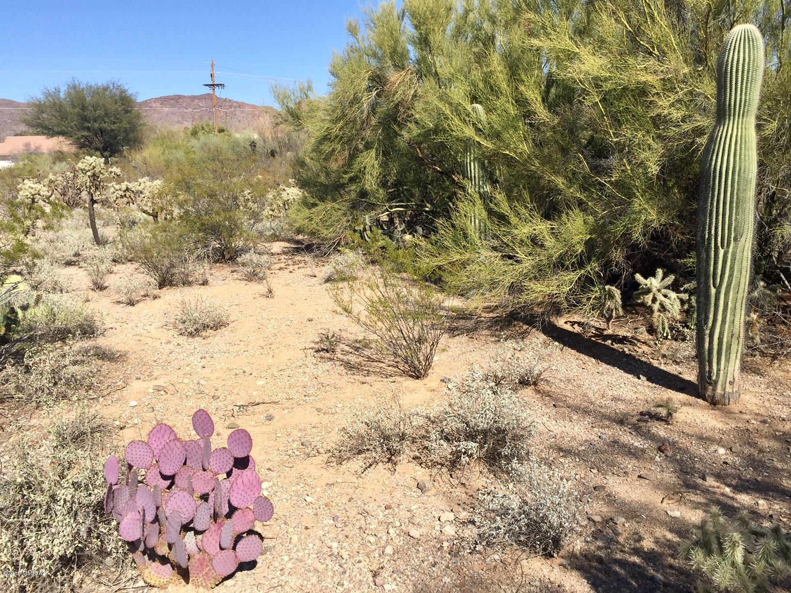 Tucson Mountain Sanctuary (1-154) - Residential
