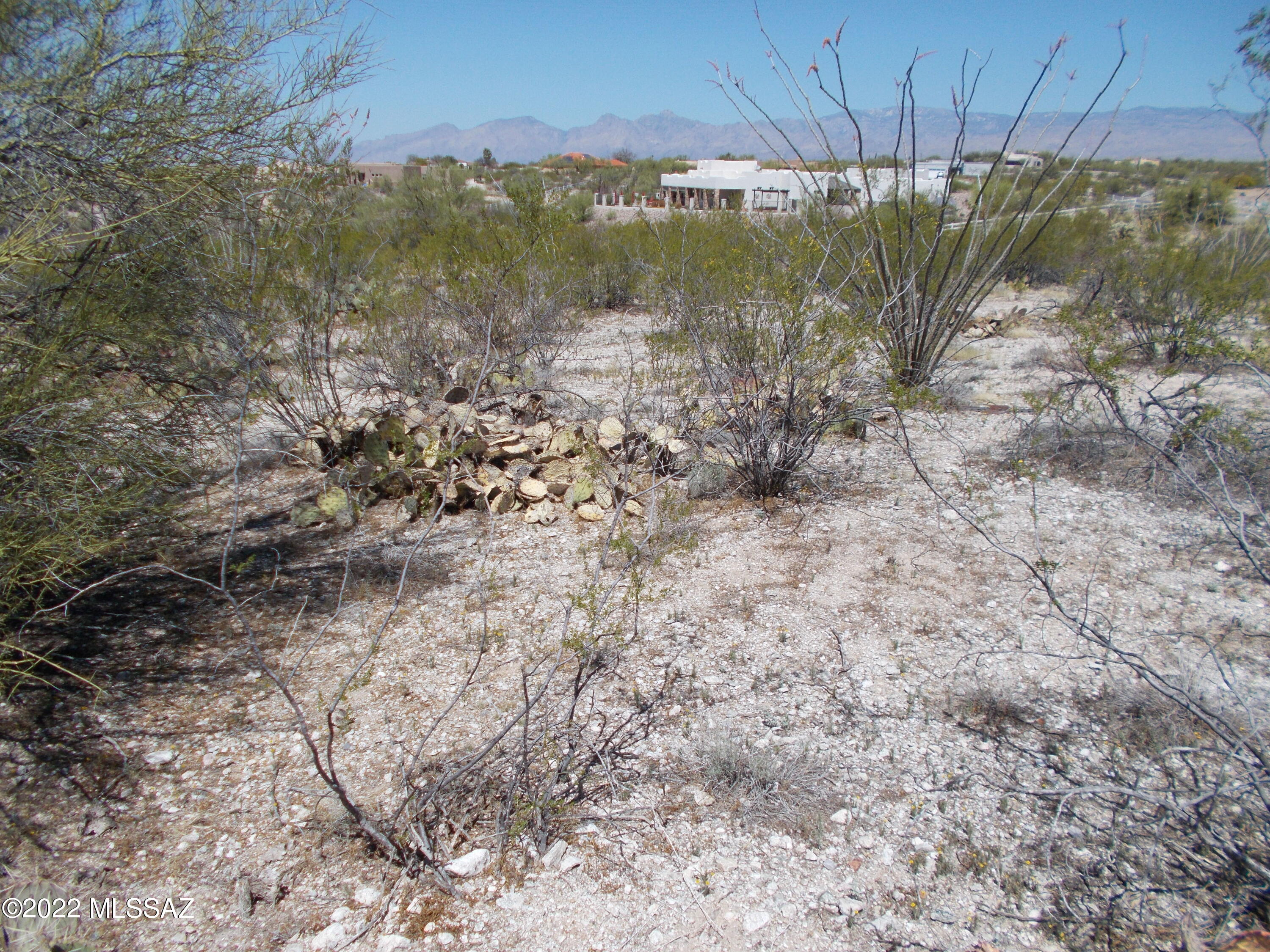 Manning Camp Enclave (1-11) - Land