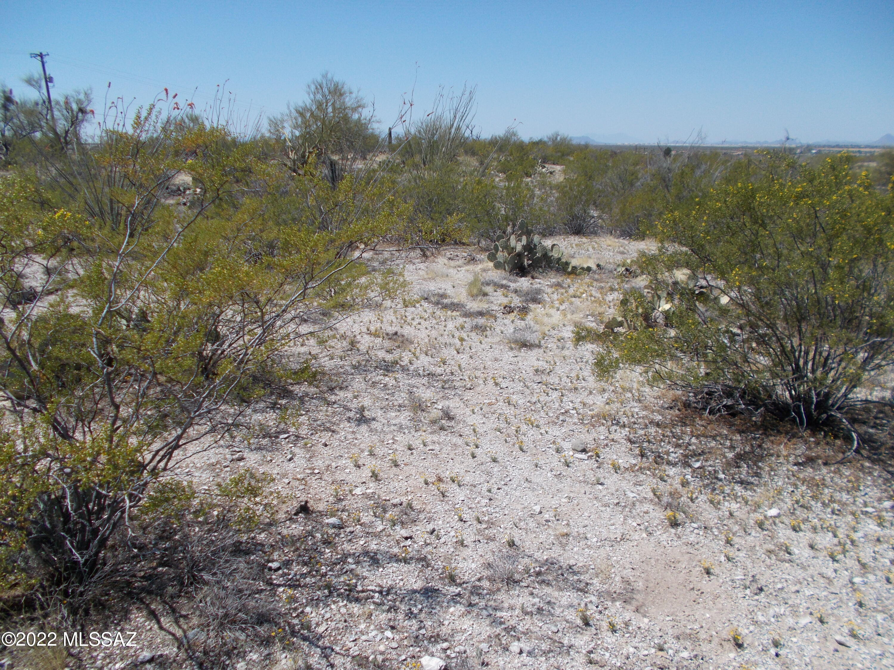 Manning Camp Enclave (1-11) - Land