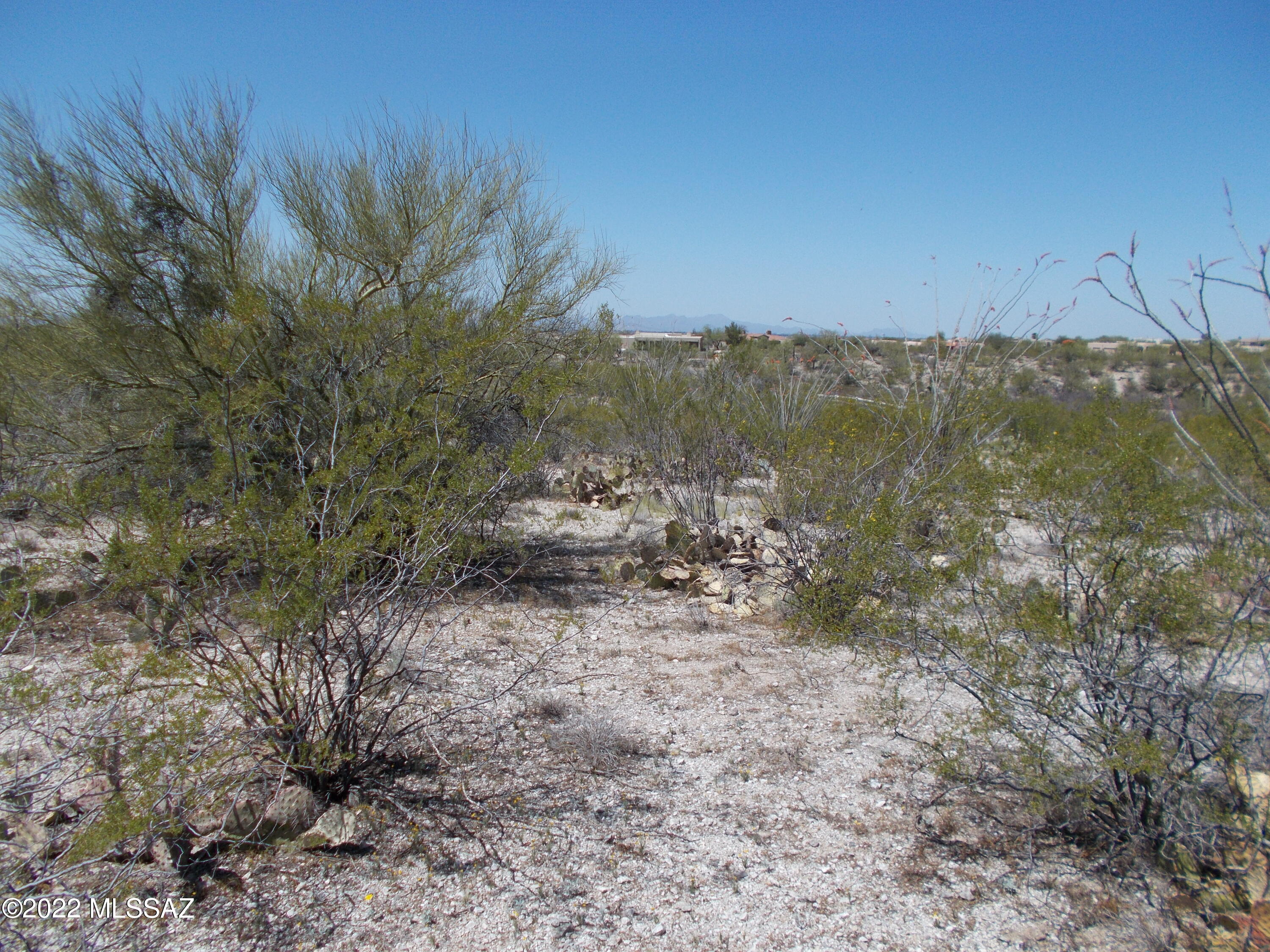 Manning Camp Enclave (1-11) - Land