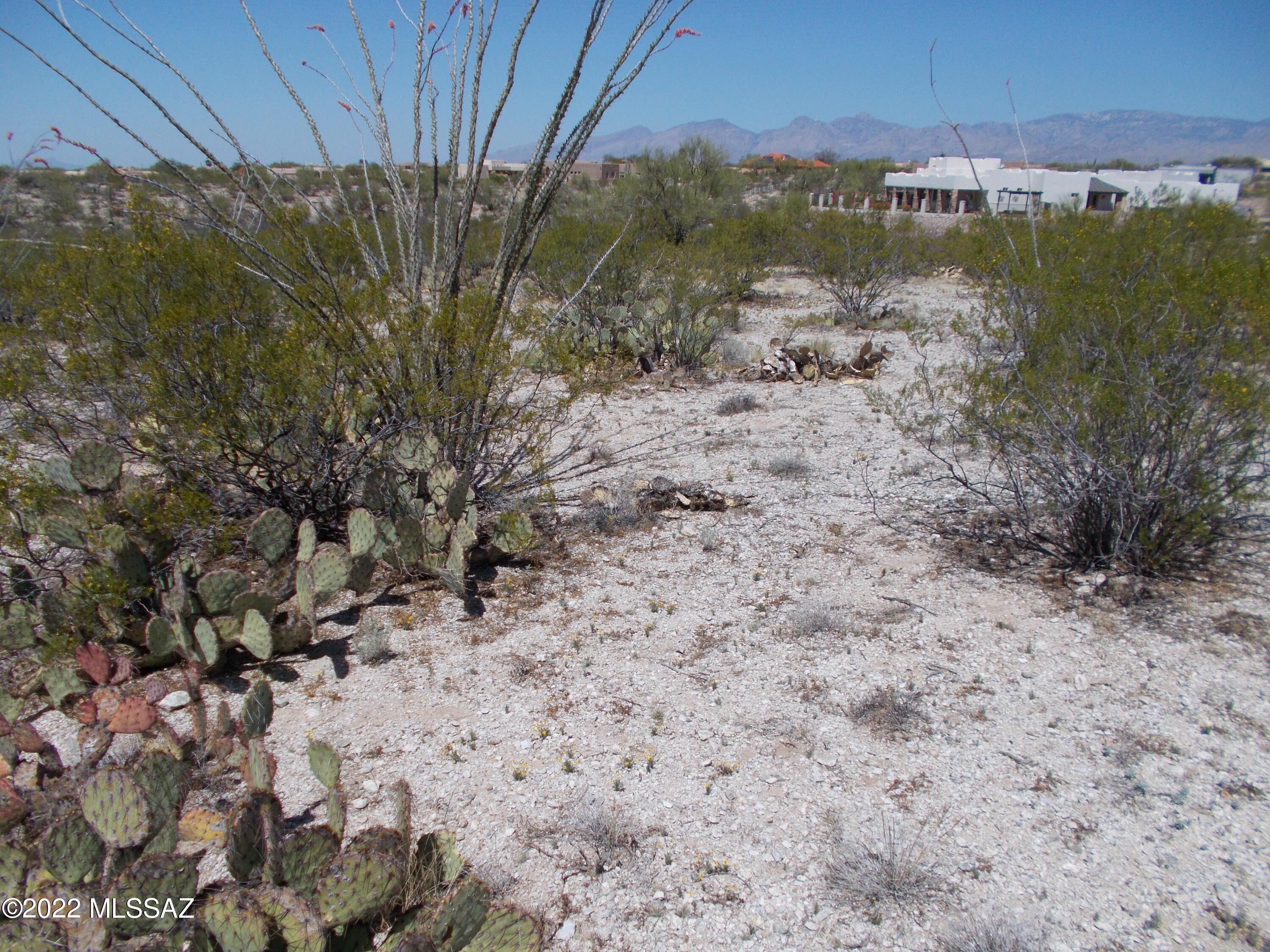 Manning Camp Enclave (1-11) - Land