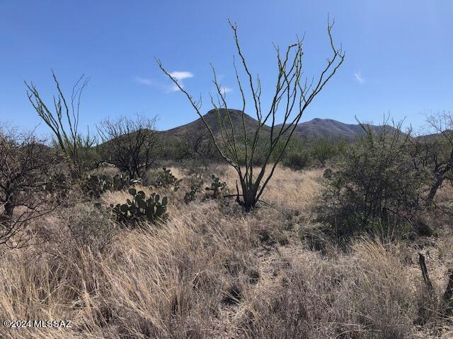 Ocotillo Preserve (1-42) - Land