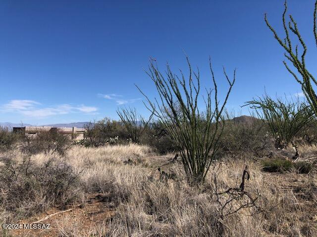Ocotillo Preserve (1-42) - Land