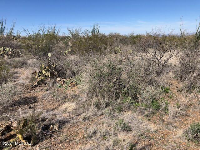 Ocotillo Preserve (1-42) - Land