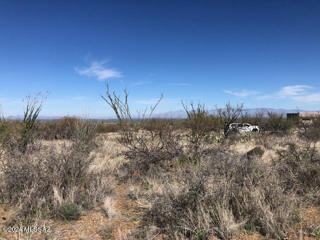 Ocotillo Preserve (1-42) - Land