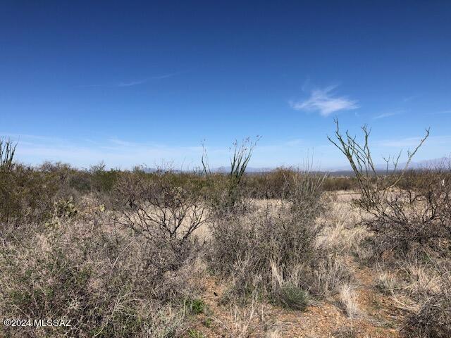 Ocotillo Preserve (1-42) - Land