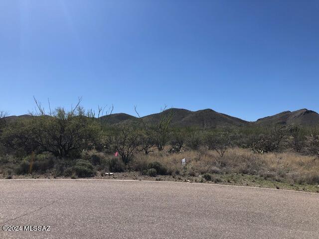 Ocotillo Preserve (1-42) - Land