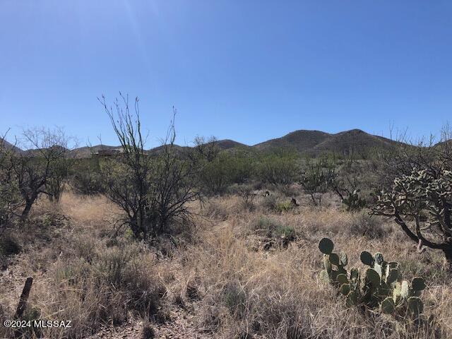 Ocotillo Preserve (1-42) - Land