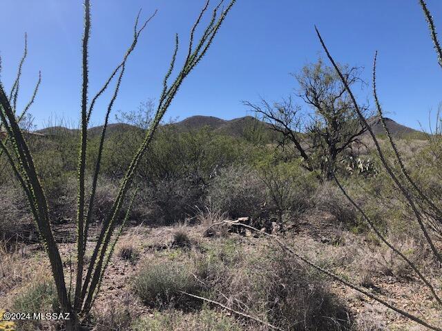 Ocotillo Preserve (1-42) - Land