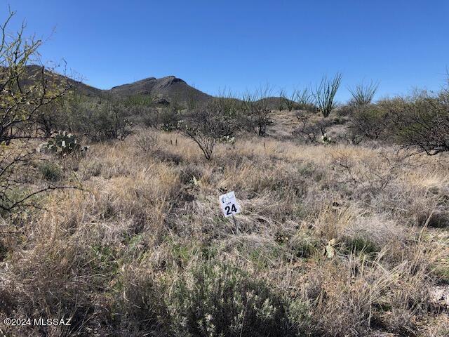 Ocotillo Preserve (1-42) - Land