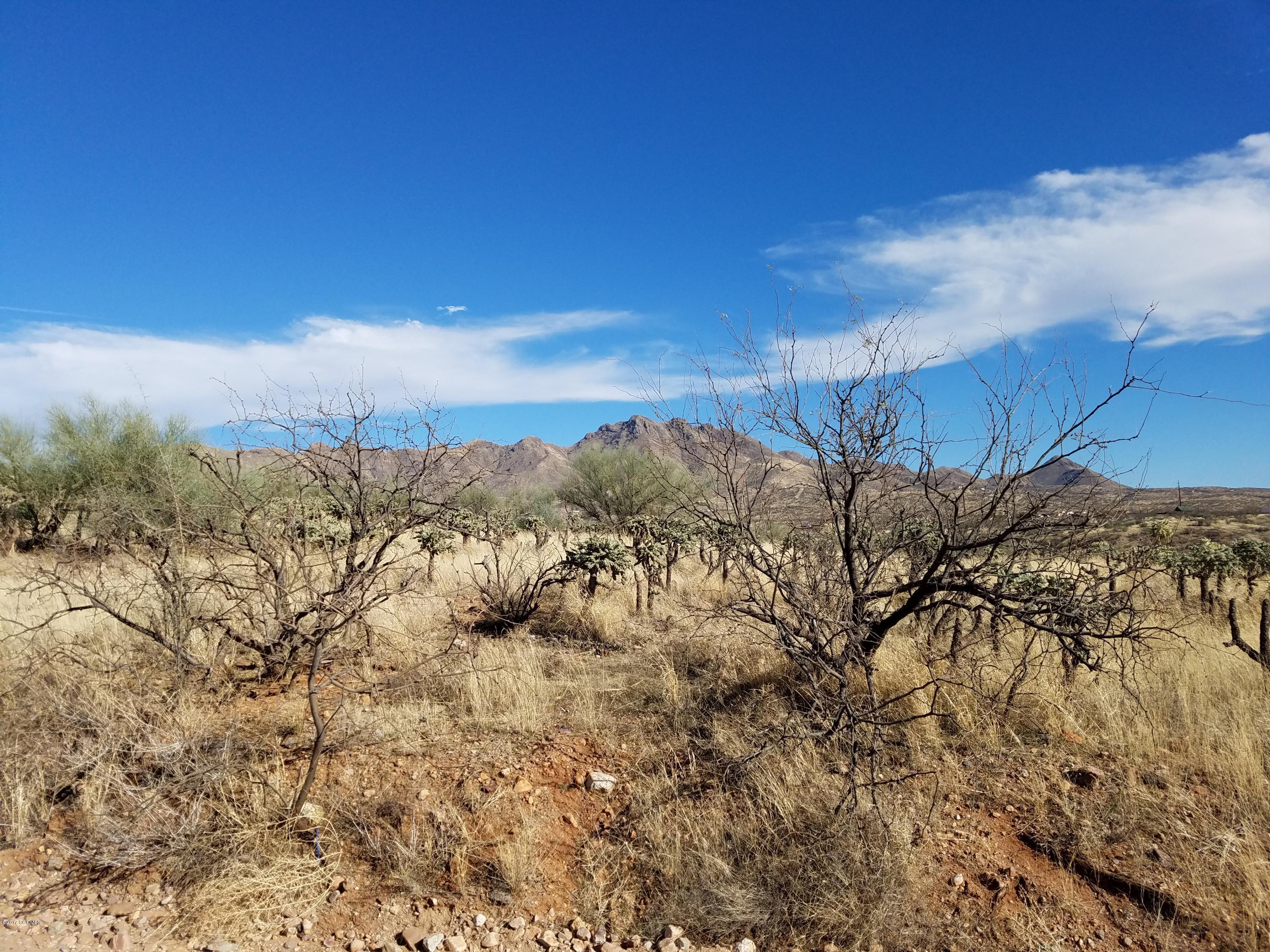 Rio Rico Ranchettes 18 - Land