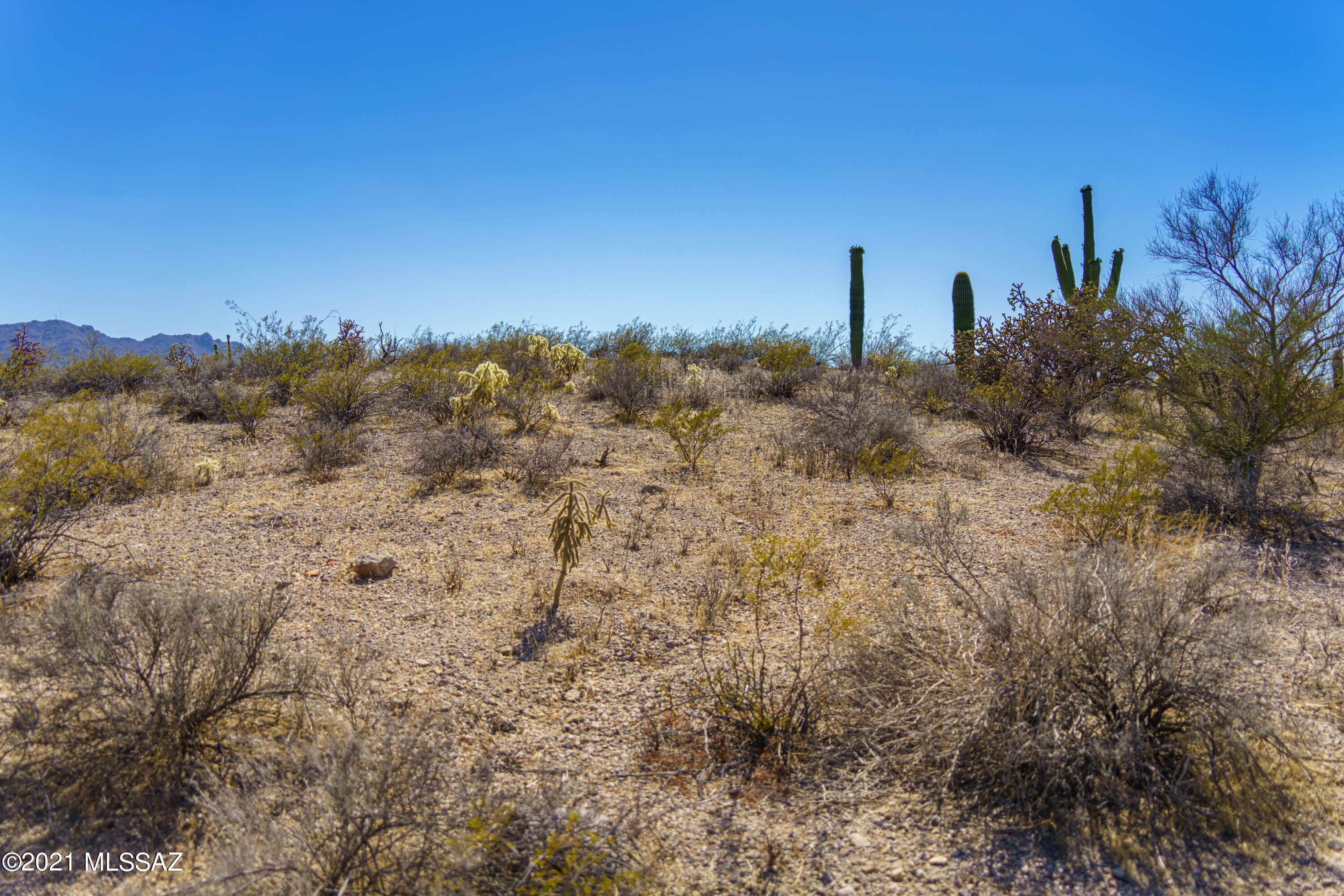 Rancho Del Cerro (180-339) - Land