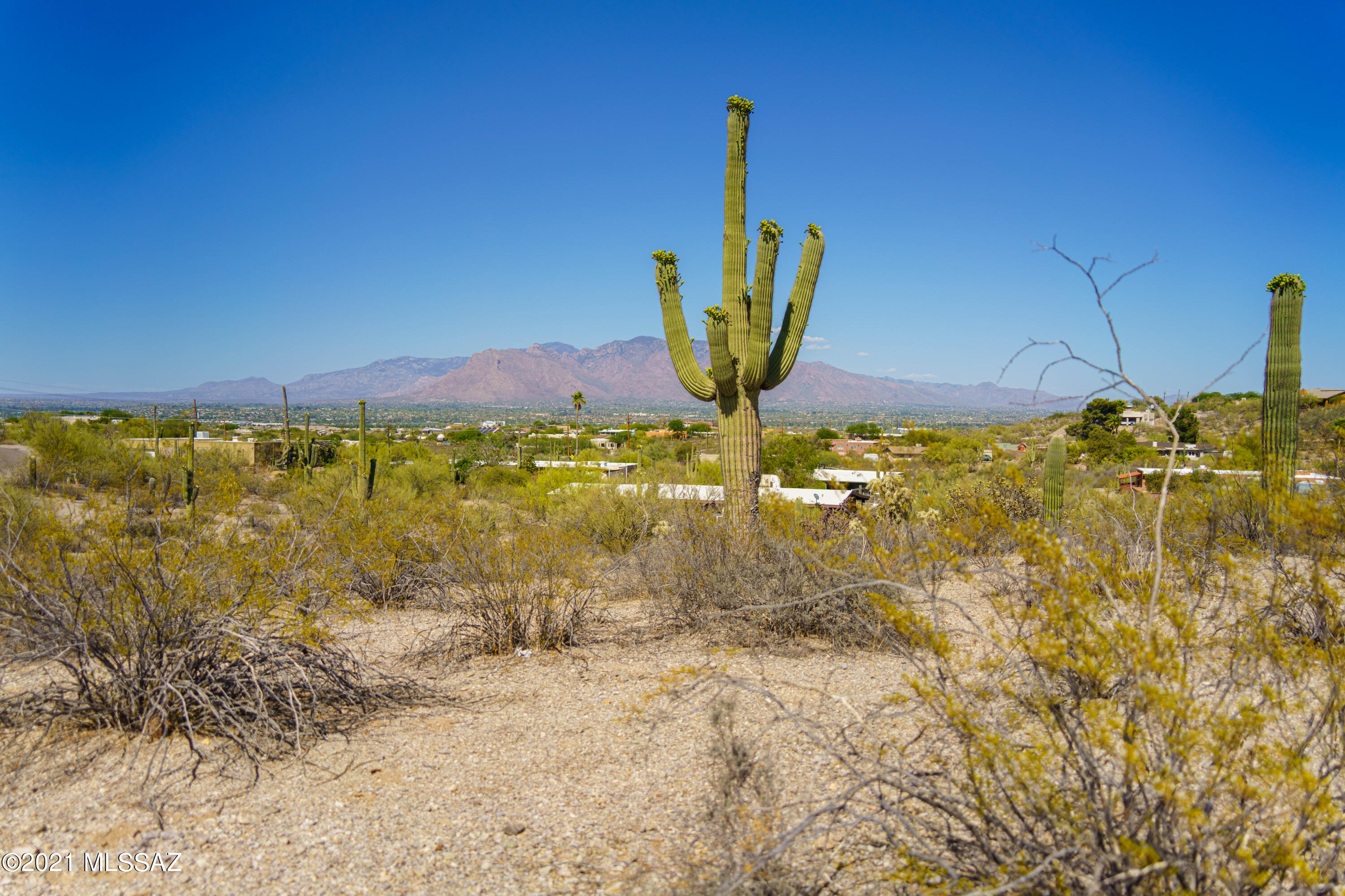 Rancho Del Cerro (180-339) - Land