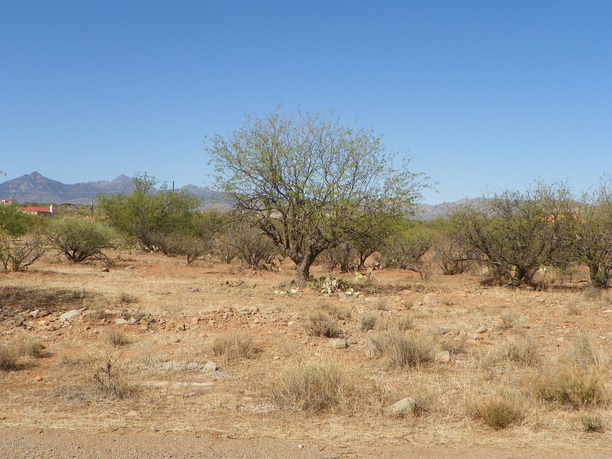 Rio Rico Villas 12 - Land