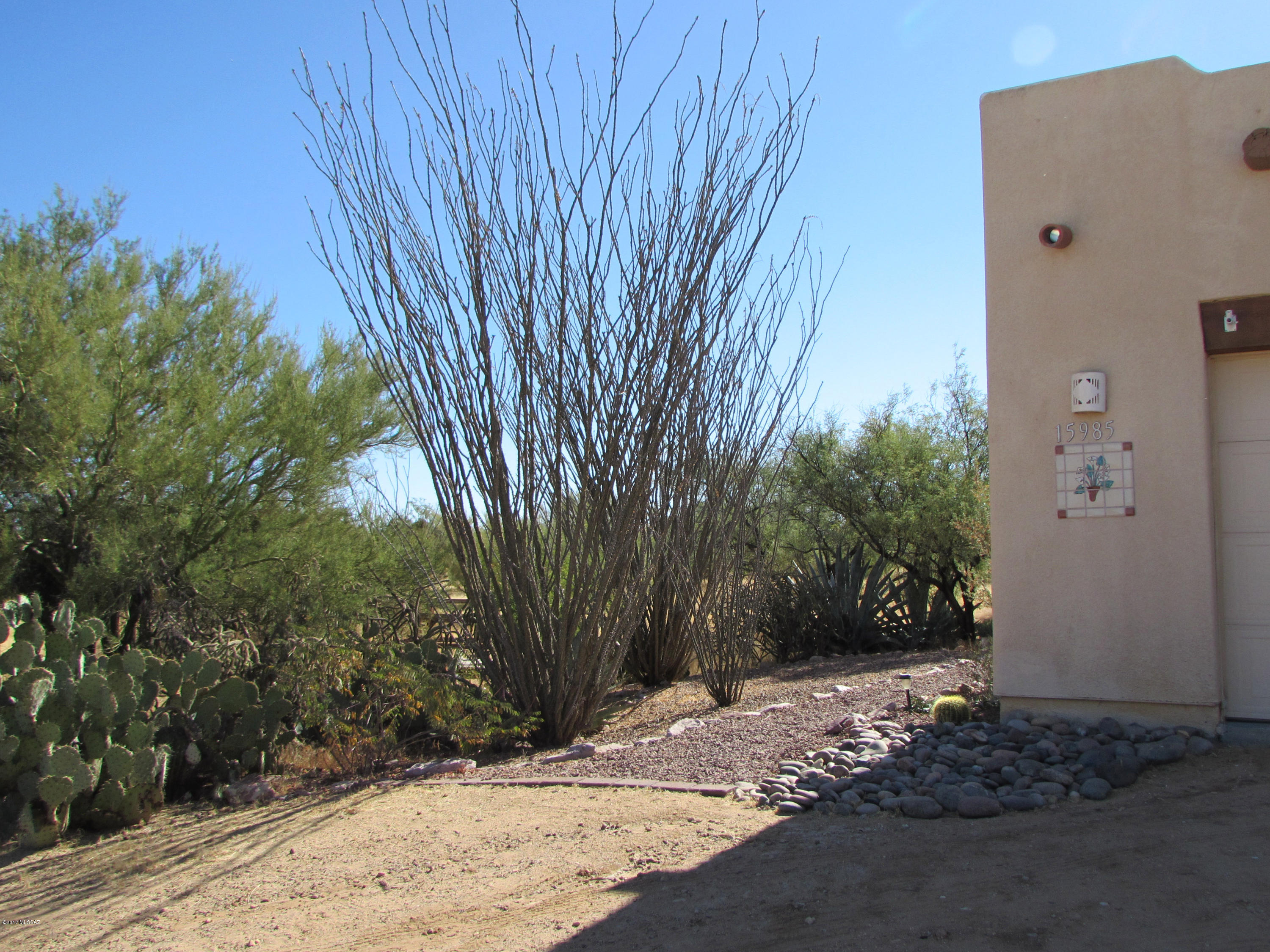 Diamond Bell Ranch - Tucson Unit 11 (1-448) - Residential