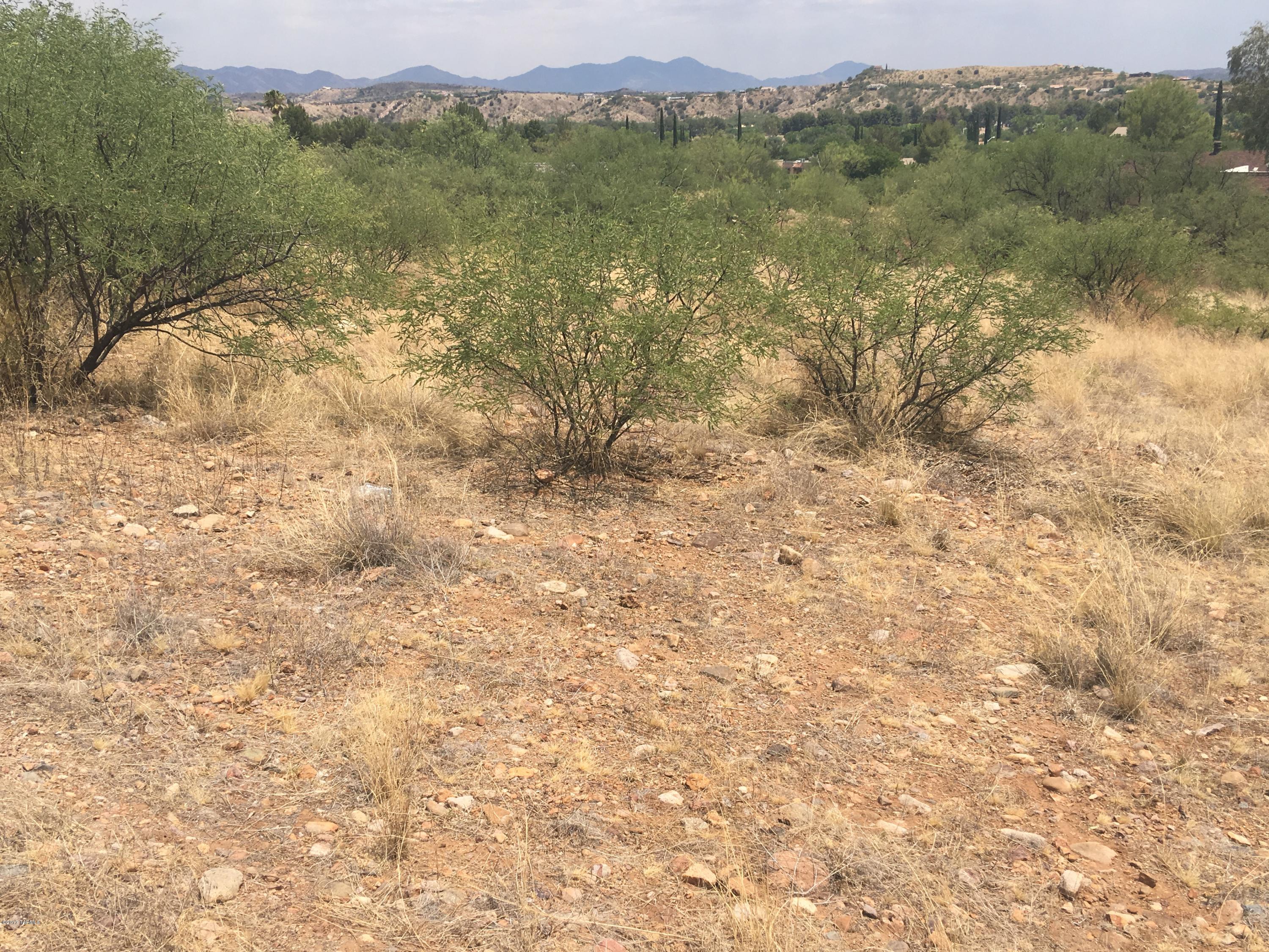 Rio Rico Unit 3 - Land