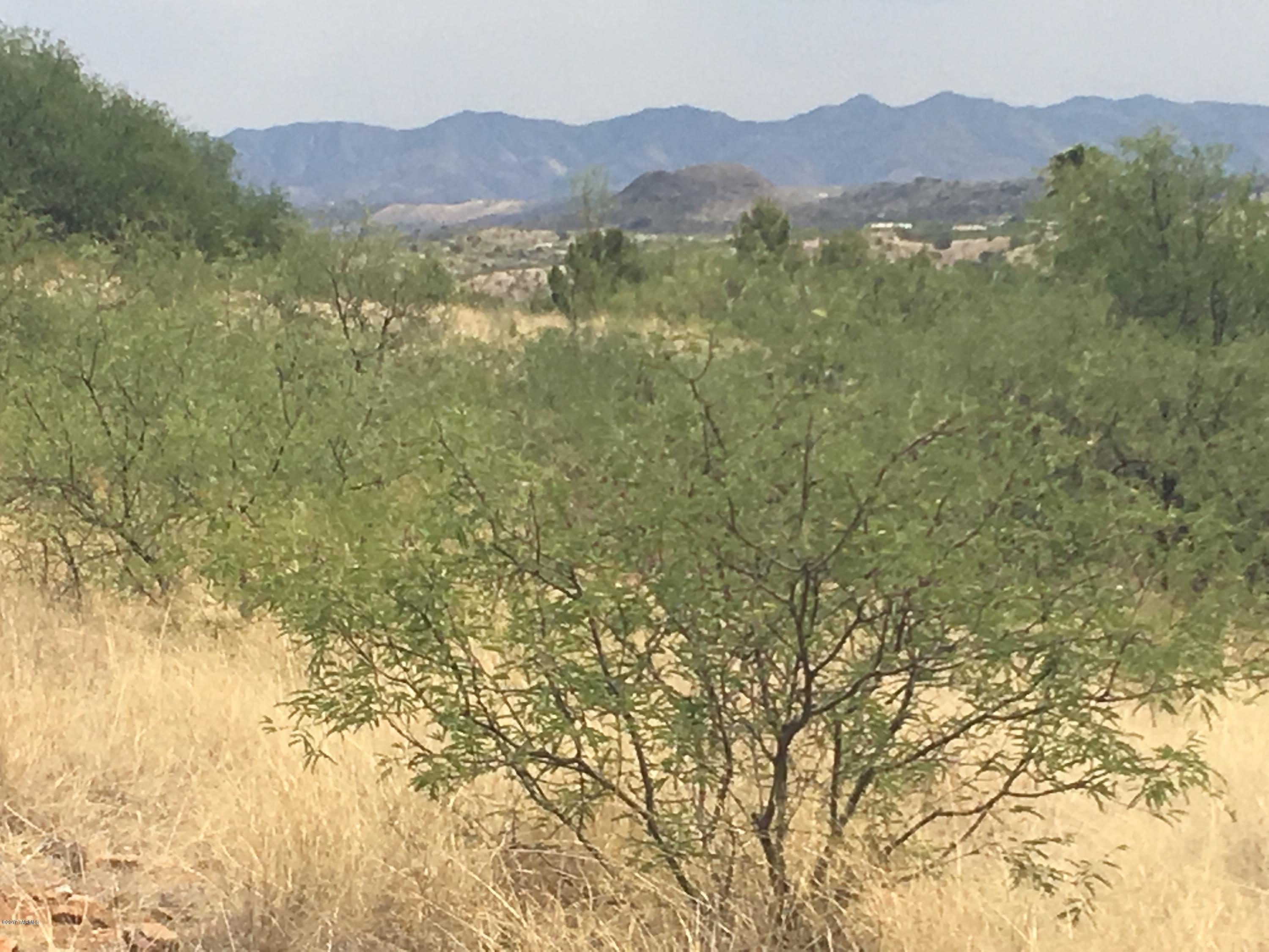 Rio Rico Unit 3 - Land