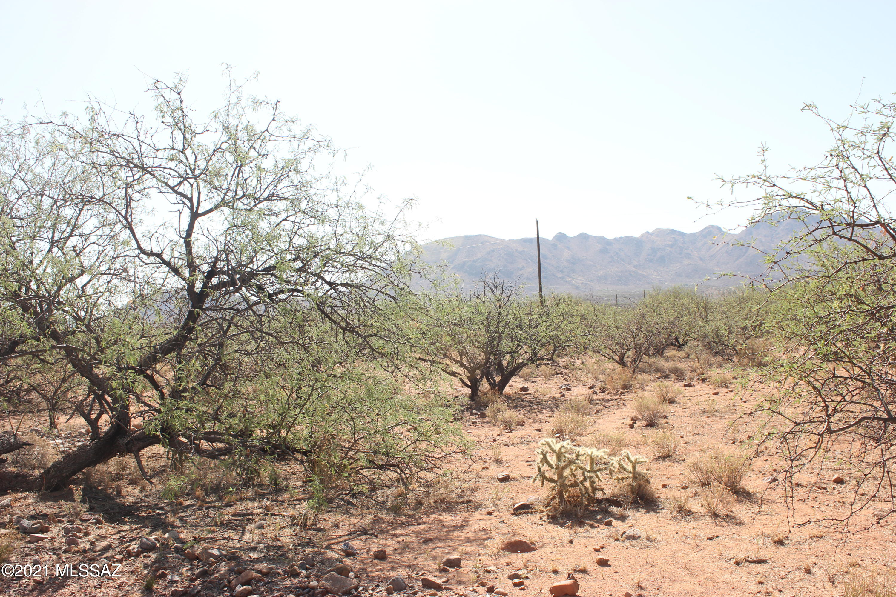 Rio Rico Villas 11 - Land