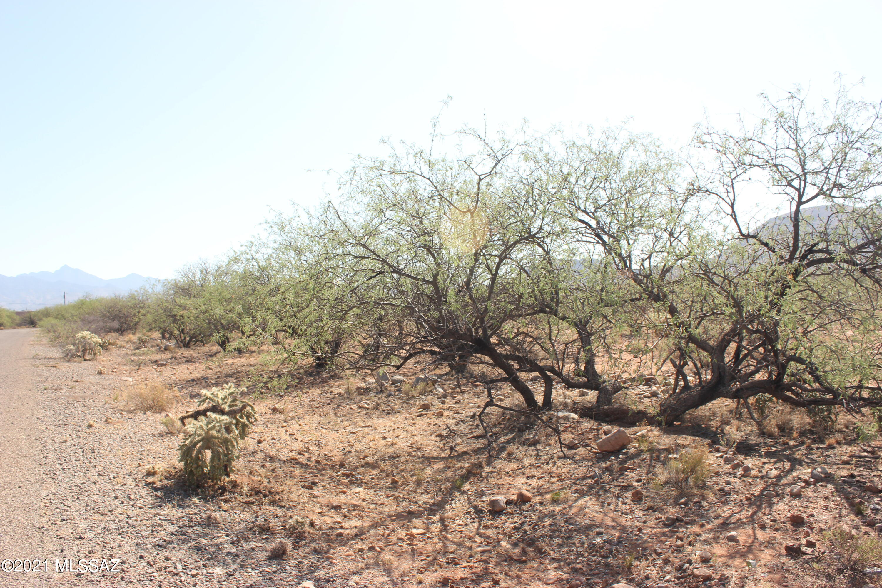 Rio Rico Villas 11 - Land