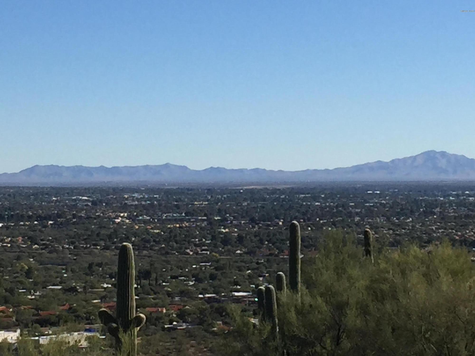 Quail Canyon (58-99) - Land