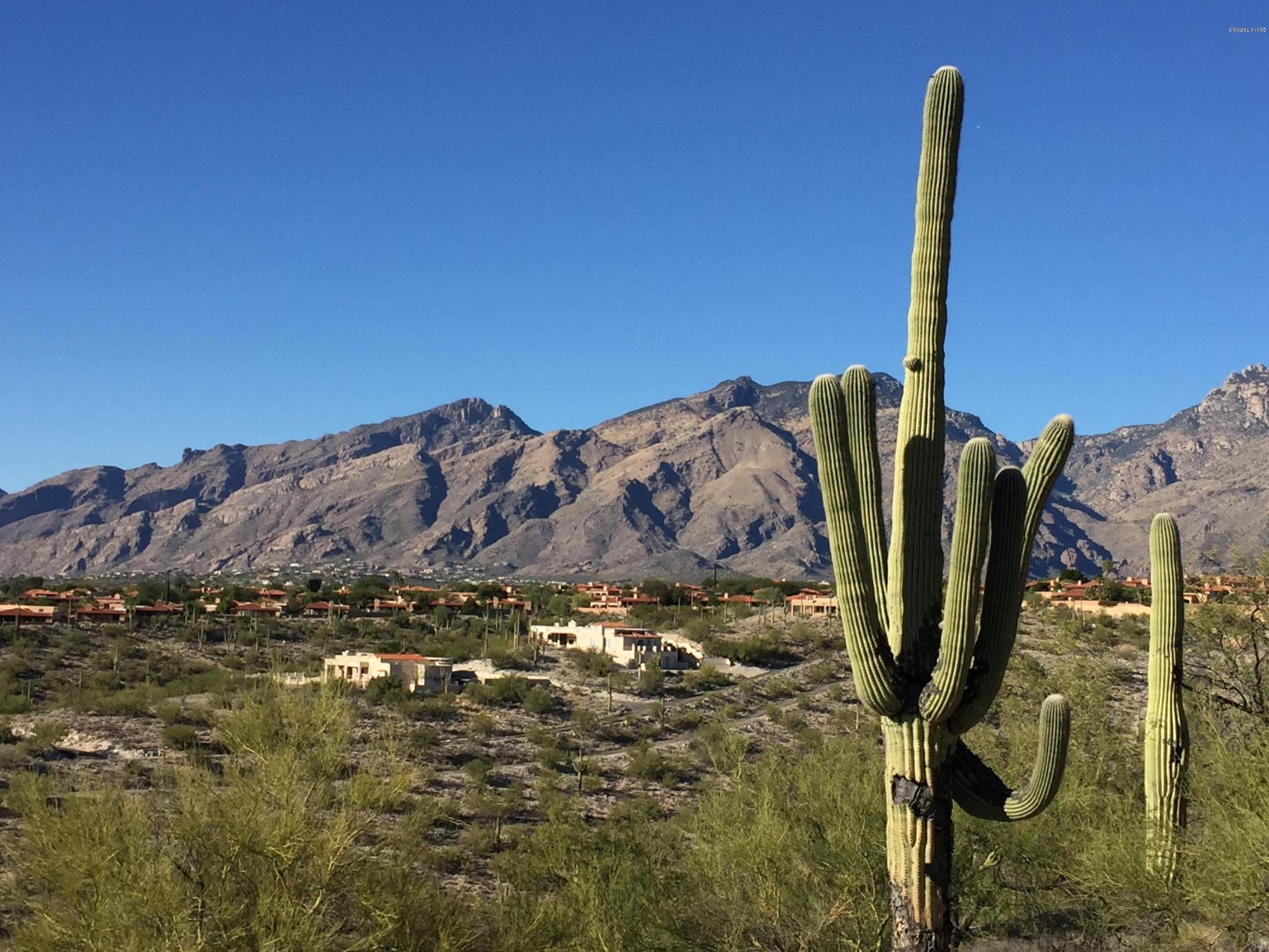 Spectacular Views in Every Direction From this Saguaro Studded High View Lot. Build the House of your Dreams on this Very Special Private Lot.