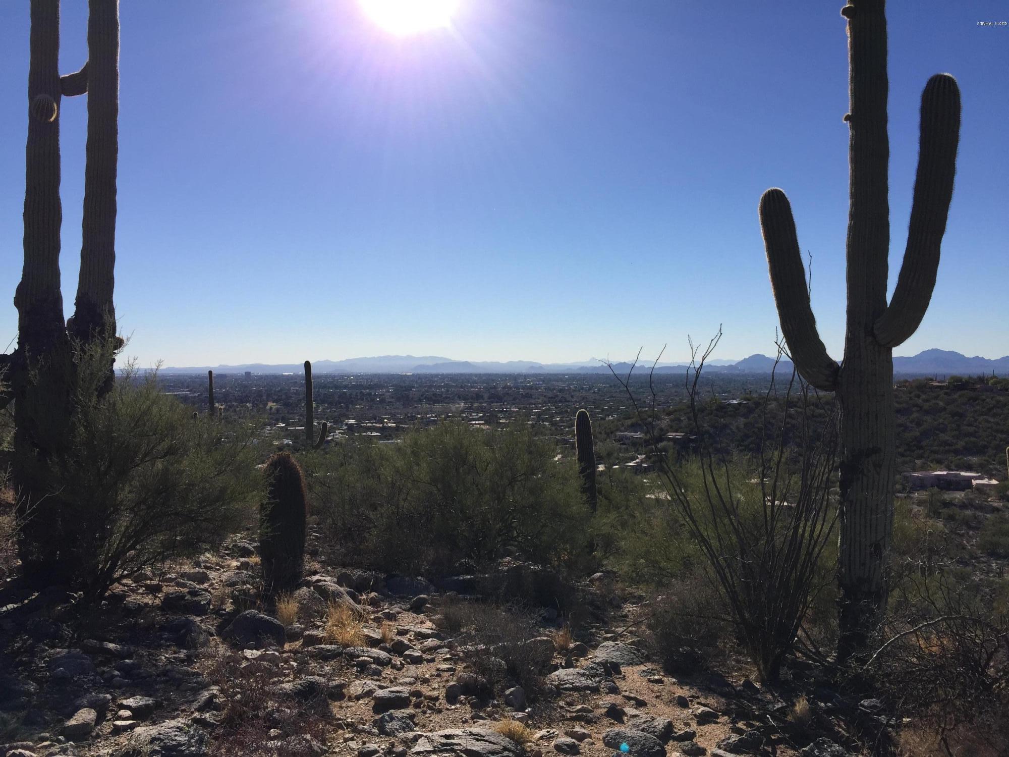 Quail Canyon (58-99) - Land