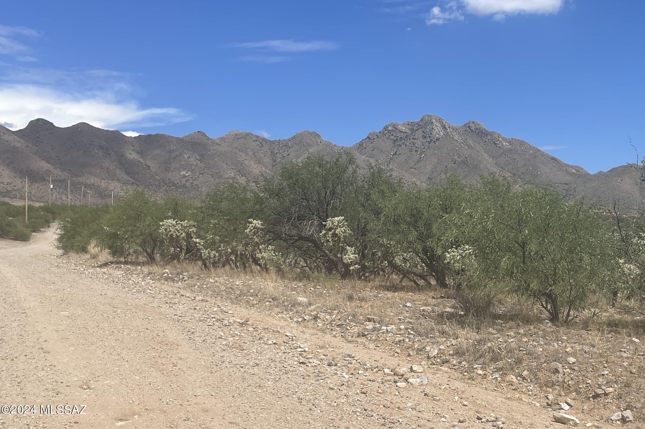 Rio Rico Ranchettes 18 - Land