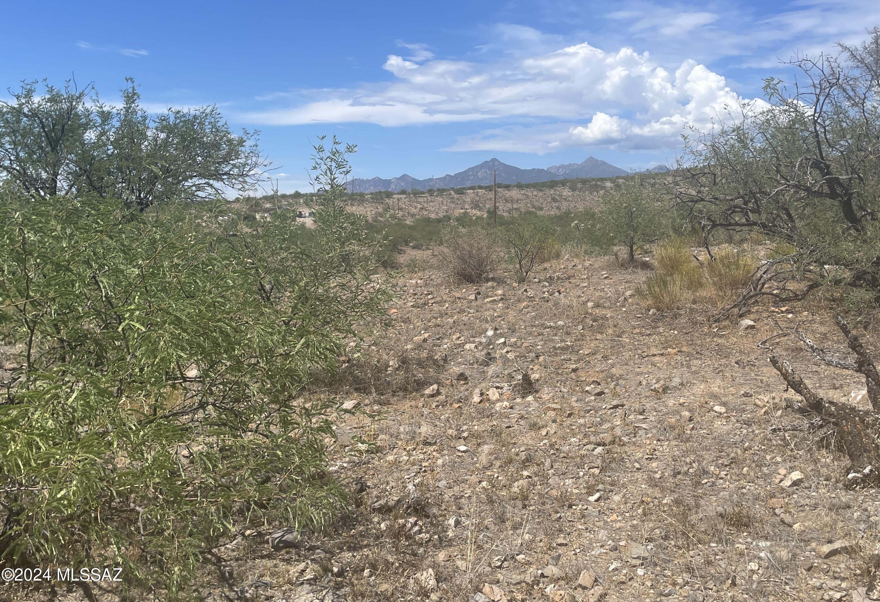 Rio Rico Ranchettes 18 - Land