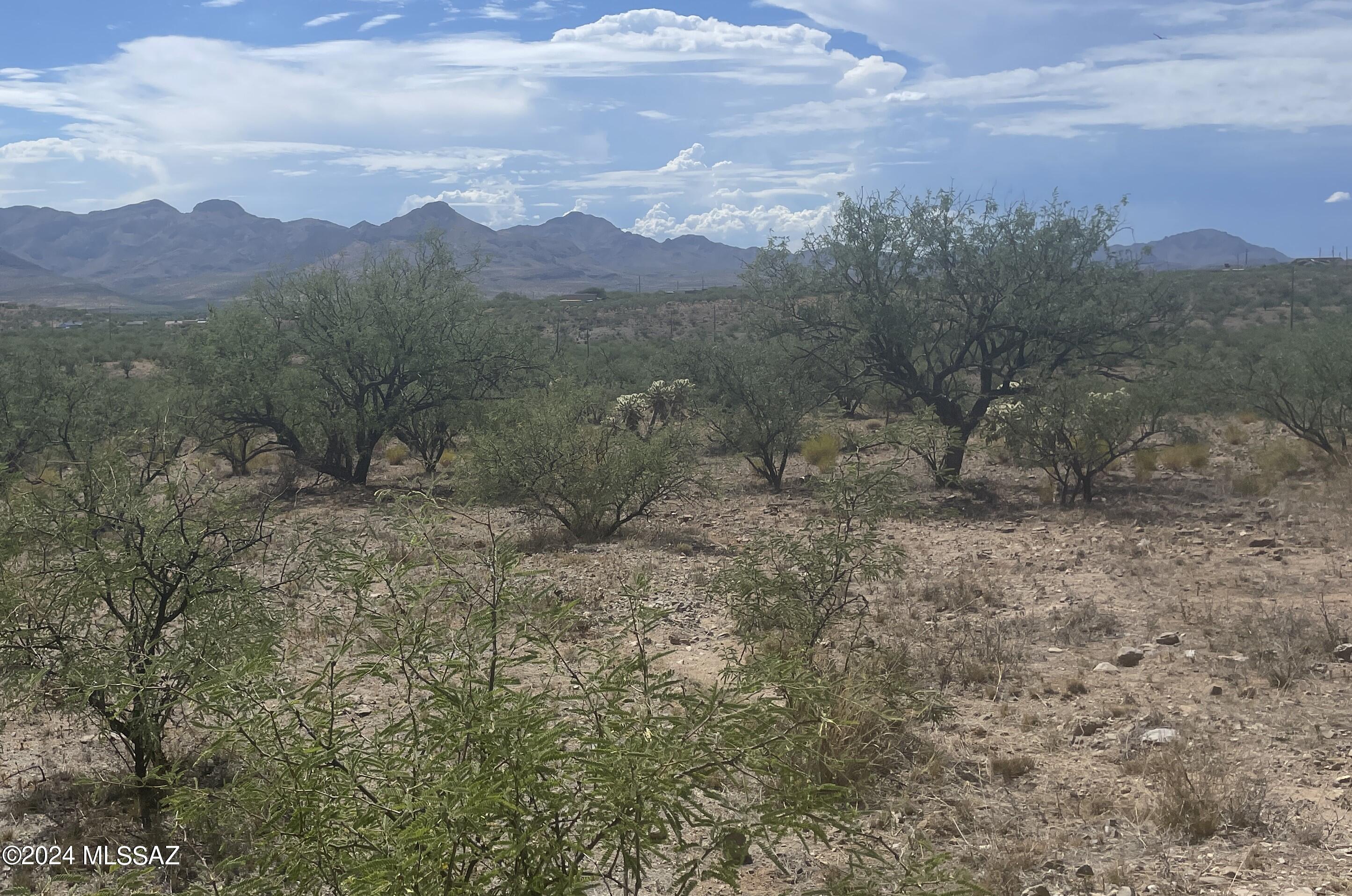 Rio Rico Ranchettes 18 - Land