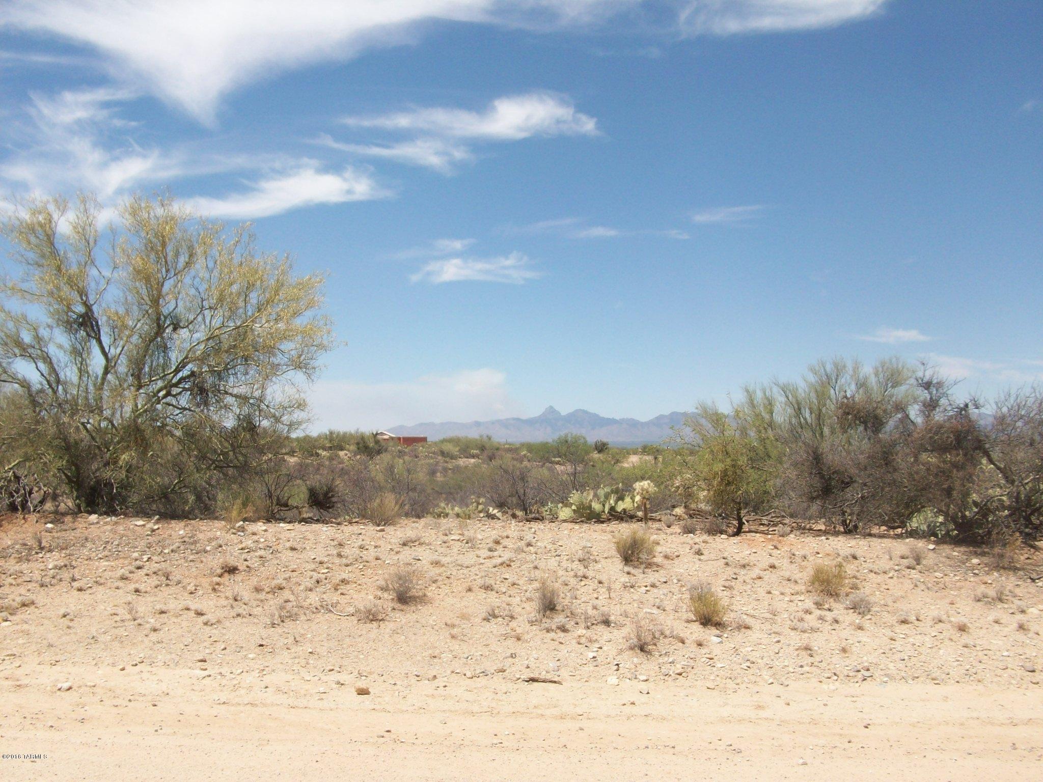 Beautiful building lot in Diamond Bell Ranch Unit 9 - corner lot - natural desert surroundings - city water and power at street - area of site built homes. We have multiple building lots in Unit 9 - water, electric and phone at the street. Seller will carry.