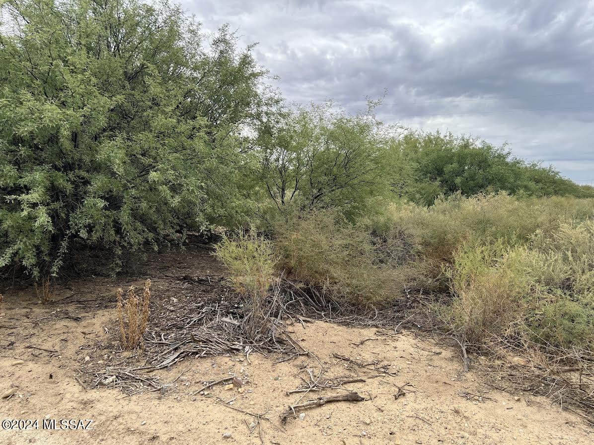 Beautiful lot in quiet part of the Gila Valley with lots of nice vegetation  and a fantastic view of beautiful Mt Graham.  Come see this great spot!