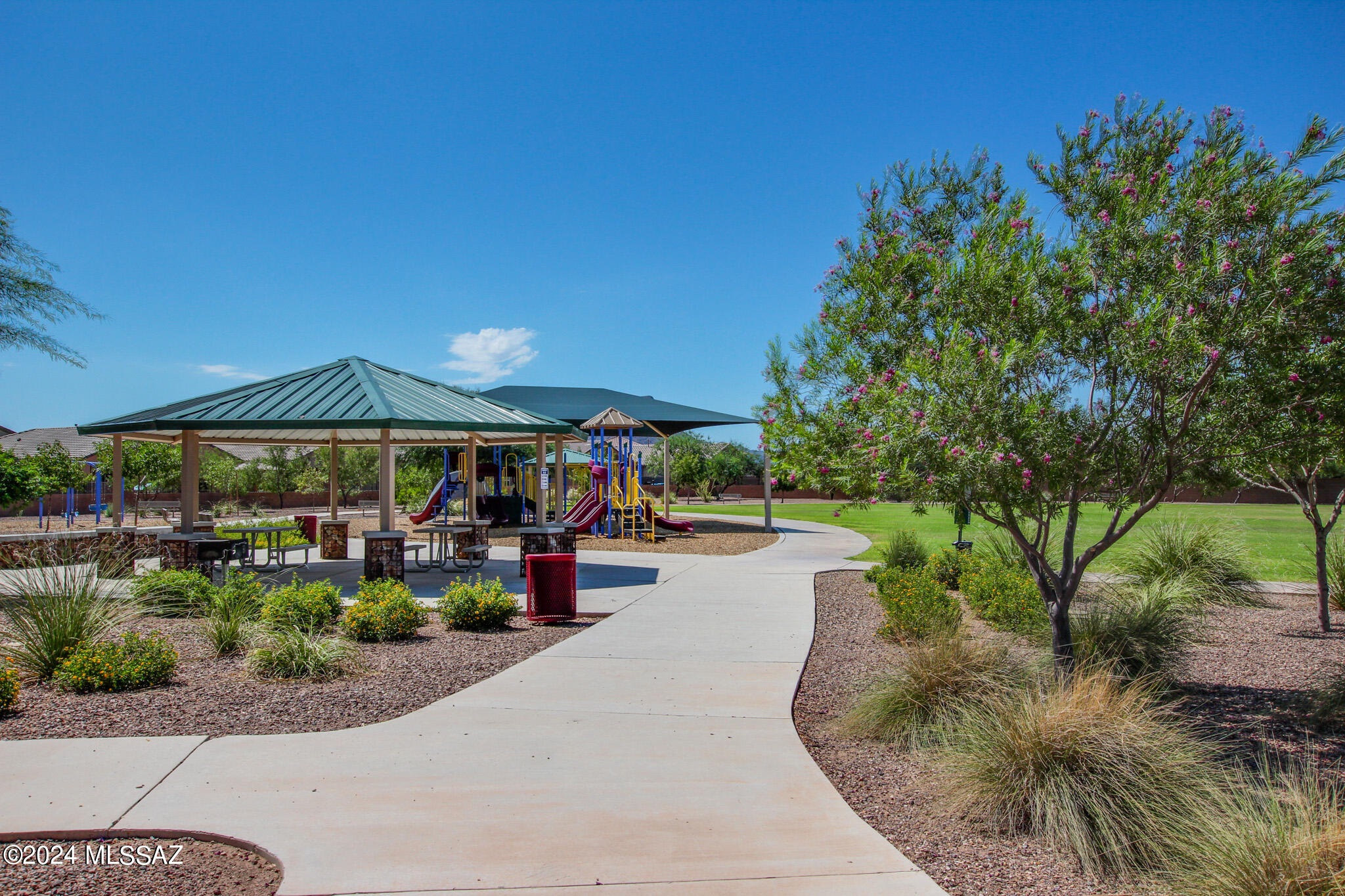 Saguaro Bloom SQ20180540069 - Residential