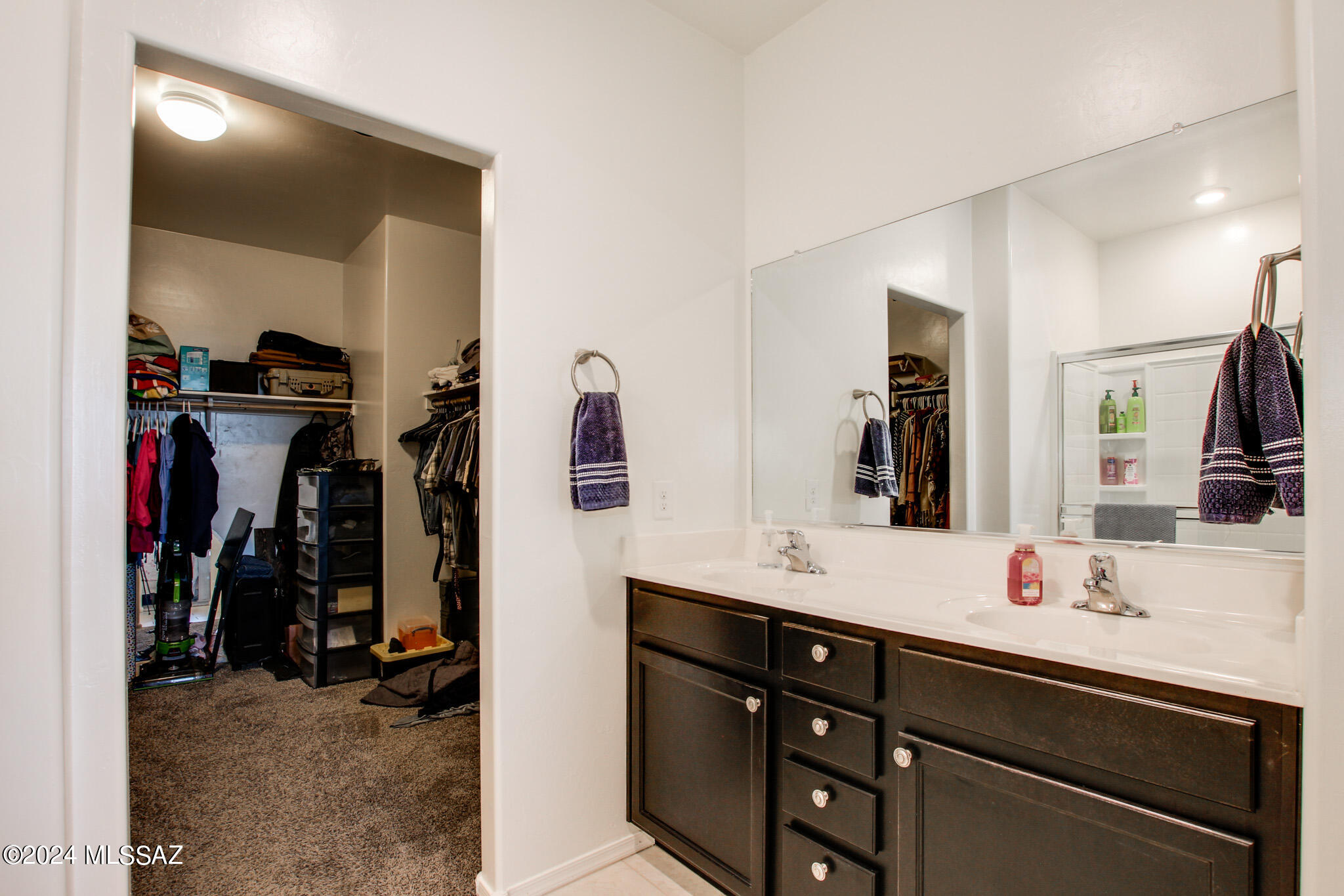 Saguaro Bloom SQ20180540069 - Residential