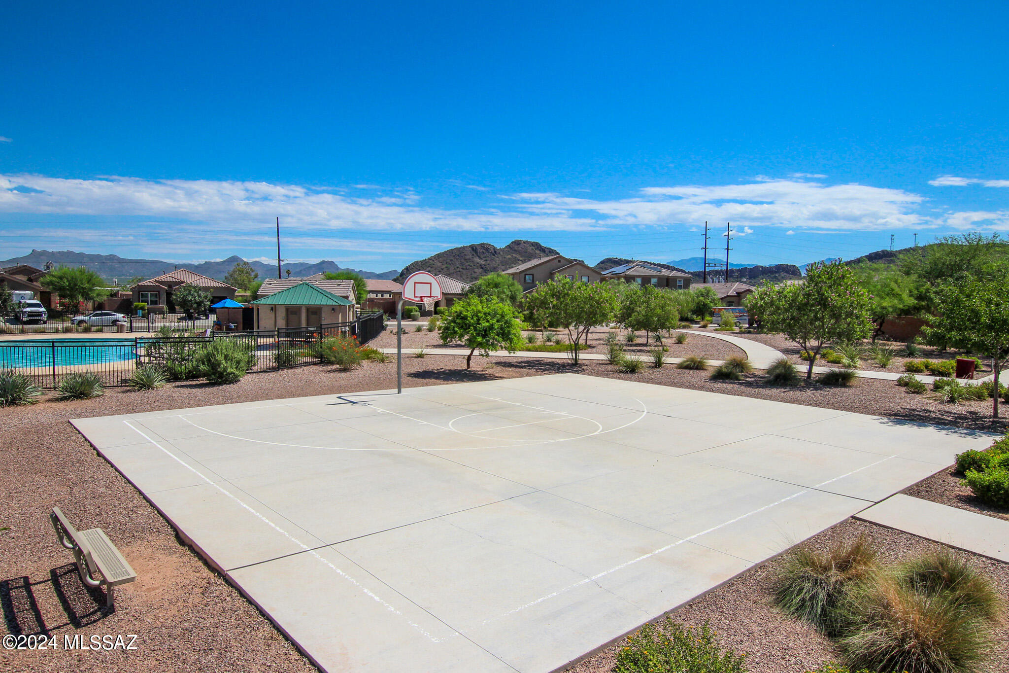 Saguaro Bloom SQ20180540069 - Residential