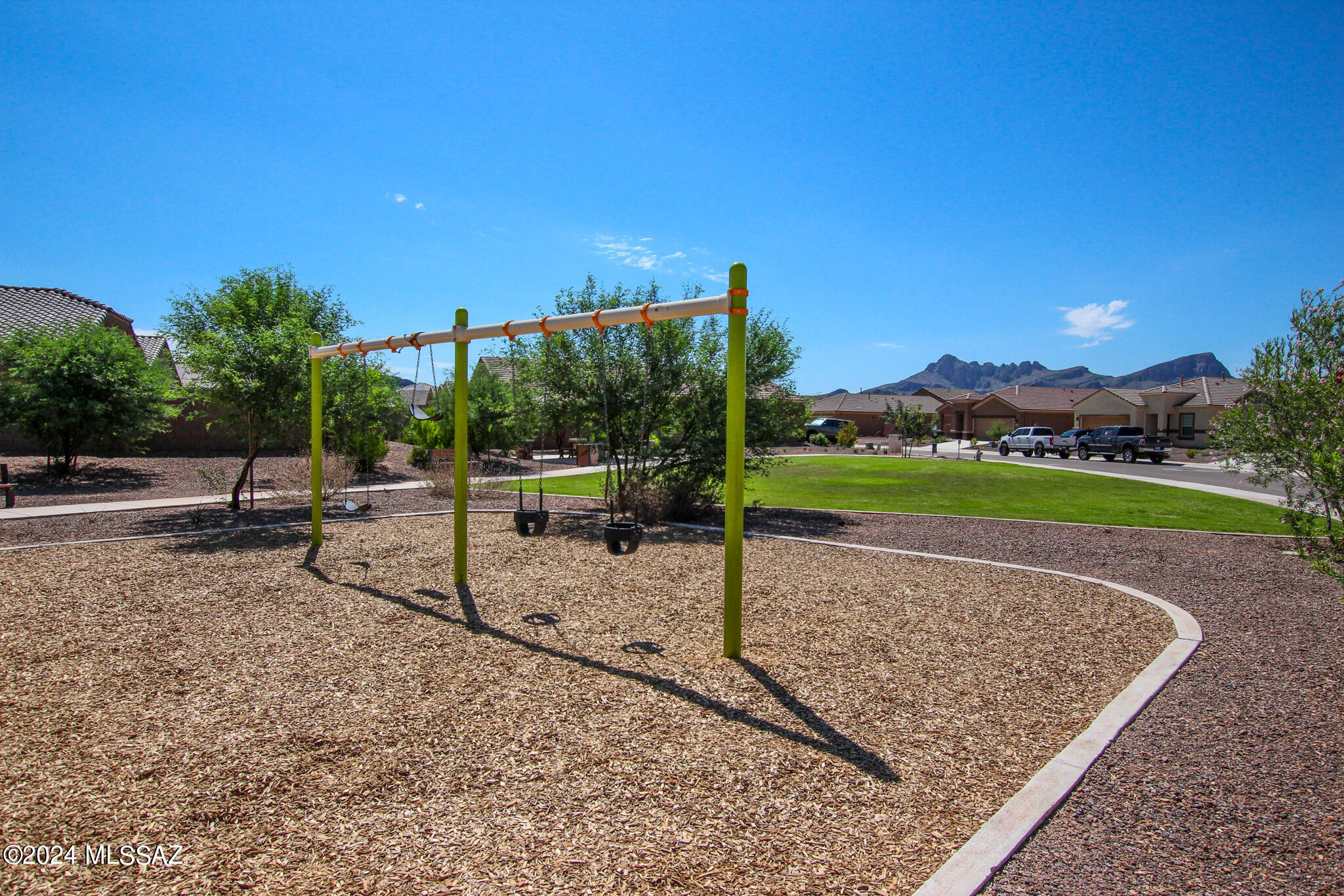 Saguaro Bloom SQ20180540069 - Residential