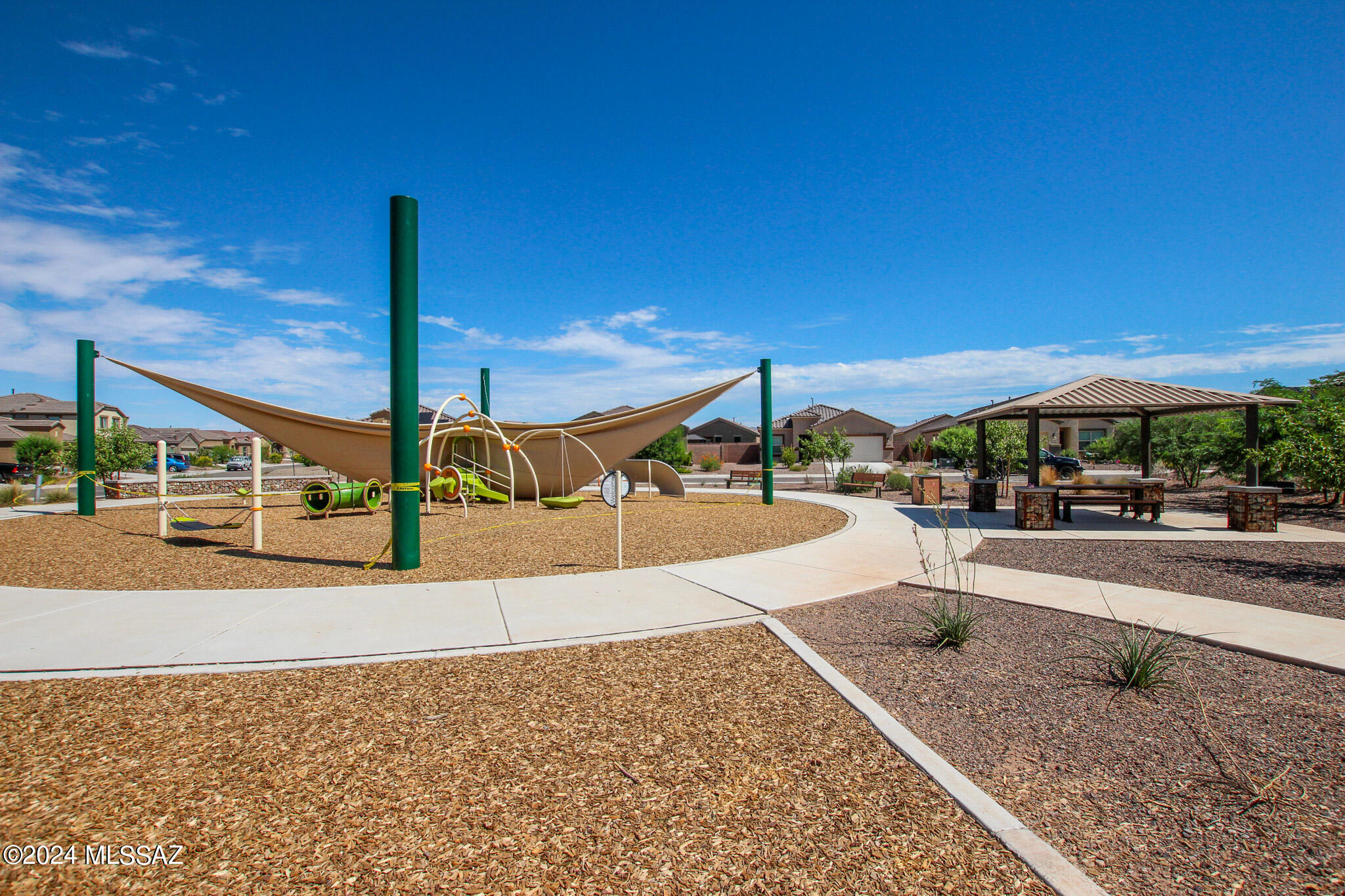 Saguaro Bloom SQ20180540069 - Residential