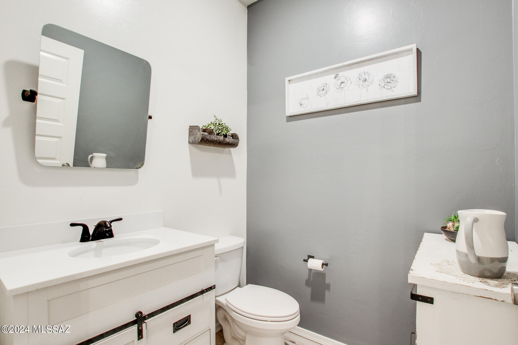 Saguaro Bloom SQ20180540069 - Residential